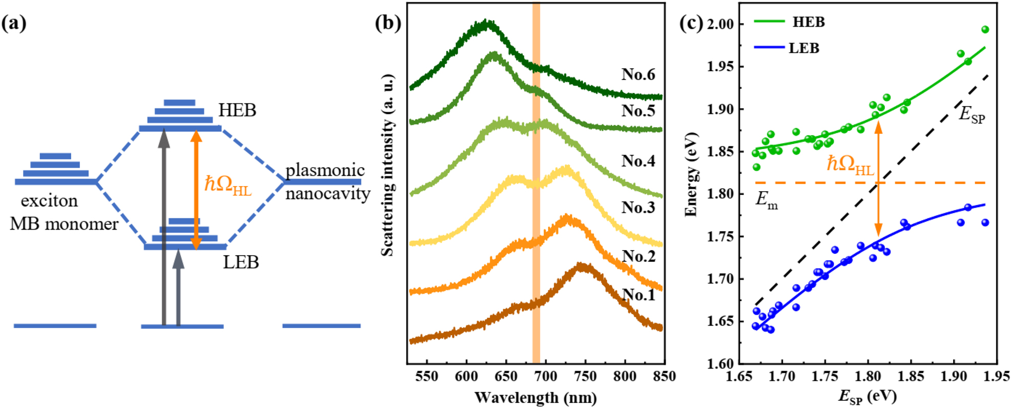 Figure 3:
Strong monomer exciton-plasmon coupling. (a) Schematic representation of the strong coupling between the exciton of the monomeric dye molecule (left) and the surface plasmon of nanocavity (right), leading to the formation of two new eigen hybrid light–matter states: the high energy branch (HEB) and the low one (LEB). The Rabi splitting energy is marked as ℏΩHL. (b) Scattering spectra of the hybrid nanostructures with different Ag nanocube sizes (sample numbers from No. 1 to No. 6). All spectra appear two peaks and a dip at the exciton resonance of MB. SPR wavelength of the plasmonic nanocavity is tailored across the exciton resonance of MB. (c) Dispersion of plexciton with HEB and LEB varied as a function of plasmon energy. Green and blue dots indicate experimental data extracted from scattering spectra. The solid lines are fitting results by the coupled harmonic oscillator model. The black dash line presents the plasmon energy of the pure plasmonic nanocavity, while the orange dash line indicates the exciton resonance of MB. Orange arrow marks the Rabi splitting energy of the hybrid nanostructures, giving a splitting of ℏΩHL = 147 meV.