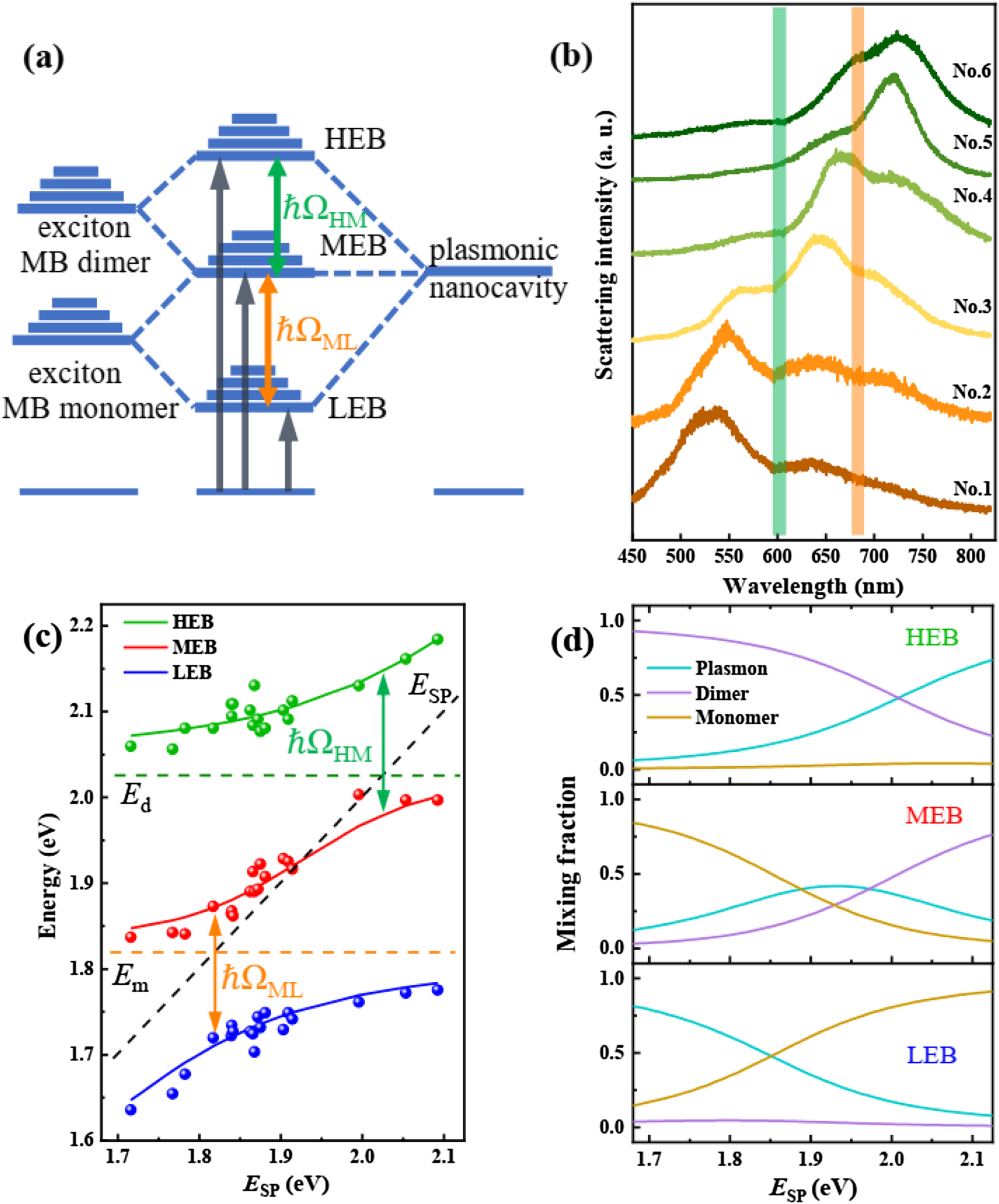 Figure 4:
Strong monomer exciton-plasmon-dimer exciton coupling. (a) Schematic representation of the strong coupling between the excitons of the monomeric and dimeric dye molecule (left) and the surface plasmons of nanocavity (right), leading to the formation of three new eigen hybrid light–matter states: HEB, MEB and LEB. The Rabi splitting energies are marked as ℏΩHM and ℏΩML, respectively. (b) Scattering spectra of the hybrid nanostructures with different Ag nanocube sizes (sample numbers from No. 1 to No. 6). SPR wavelength of the plasmonic nanocavity is tailored across the exciton resonances of dimer and monomer MB. (c) Dispersion of plexciton with HEB, MEB and LEB varied as a function of plasmon energy. Green, red and blue dots indicate experimental data extracted from scattering spectra. The solid curves are fits of the three-coupled harmonic oscillator model. The black dash line presents the plasmon energy of the pure plasmonic nanocavity, while green and orange dash lines indicate the exciton resonance of MB dimer and monomer. Arrows mark the double Rabi splitting energy of the hybrid nanostructures, giving a splitting of ℏΩHM = 178 meV and ℏΩML = 170 meV. (d) Hopfield coefficients for plasmon, dimer exciton, and monomer exciton contributing to high, middle, and low energy branches (HEB, MEB and LEB) as a function of plasmon energy, calculated using the three-coupled oscillator model.