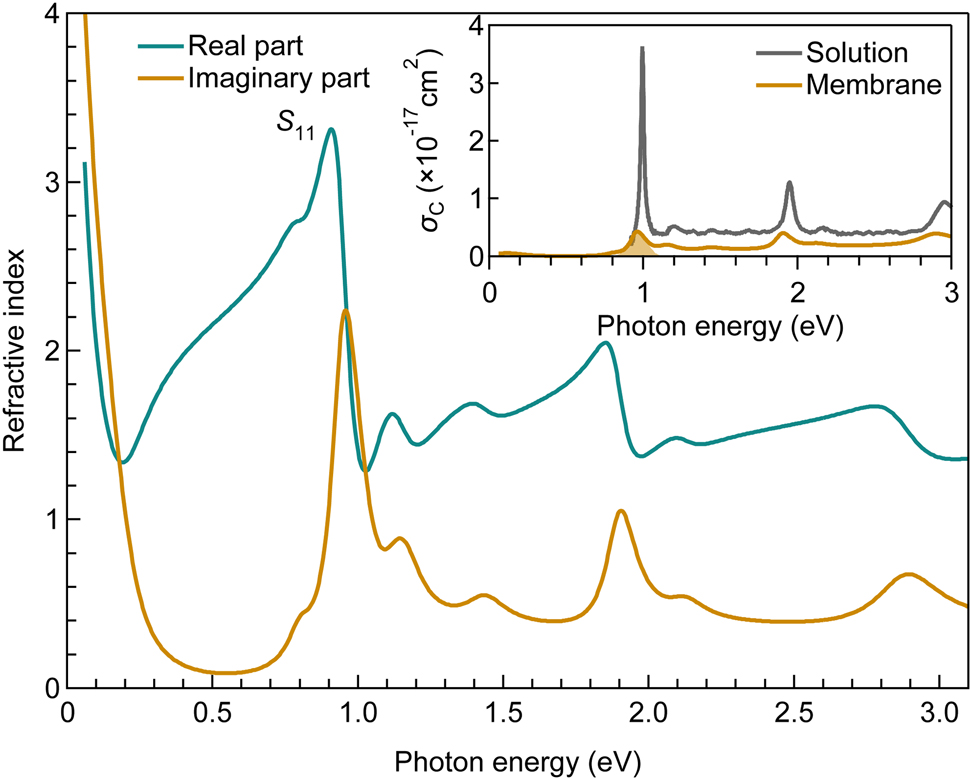 Figure 5: 
Complex refractive index spectrum of CNT membrane with (10,3) chirality. The inset displays the absorption cross section per carbon atom (σC) of the membrane (orange) and the raw solution (gray).
