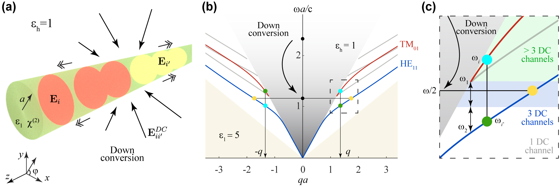 Figure 1: 
Generation of waveguided entangled photon pairs by down-conversion in an optical waveguide.
(a) Illustration of a cylindrical waveguide (radius a, material permittivity ϵ1, and host permittivity ϵh) subject to normal illumination. Each incident photon can be down-converted via the second-order nonlinear response of the waveguide material (susceptibility χ(2)) to produce two waveguided photons within modes i and i′ characterized by electric fields E
i
 and E
i
′
, frequencies ω
i
 and ω
i
′
, and wave vectors q
i
 and q
i
′
 satisfying q
i
 + q
i
′
 = 0. (b) Dispersion diagram of waveguide modes (normalized frequency ωa/c as a function of normalized wave vector qa) for ϵ1 = 5 and ϵh = 1. The light cones in the waveguide and host materials (white and gray areas, respectively) limit the existence of guided modes. We highlight the two lowest-order modes that possess nonzero longitudinal field components (HE11 and TM01, see labels) and enable down-conversion with a small number of photon-pair emission channels: one symmetric (yellow circles) and two asymmetric (blue and green circles) channels. (c) Detail of photon-pair emission channels, showing the threshold frequency of the TM01 mode ω1, the frequency ω2 of the HE11 mode with the same wave vector, and the number of down-conversion channels available depending on the incident photon frequency ω (1, 3, and >3${ >}3$ in white, blue, and green areas). Each channel has ±q and ±m degeneracies.