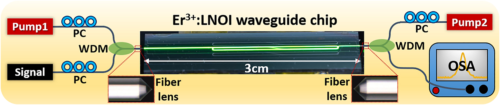 Figure 2:
The experimental setup for optical gain measurement. PC, polarization controller. WDM, wavelength division multiplexer. OSA, optical spectrum analyzer. The digital camera photograph of the excited Er3+:LNOI waveguide chip is shown in the center.