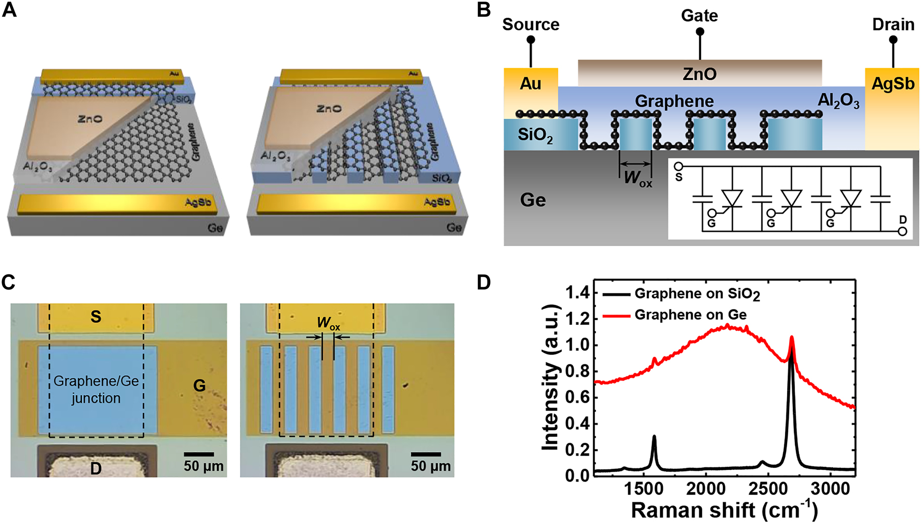 Figure 1:
(A) Schematic diagrams of the single (left) and split (right) active junction structure of the gate-controlled graphene/Ge Schottky junction photodetector. (B) Cross-sectional schematic of a split active junction device. Wox represents the width of the interdigitated oxide layer, and four devices (Wox = 0, 10, 20, or 30 μm) were fabricated. Inset: equivalent circuit, where the capacitors are connected in parallel with the gate-controlled Schottky diodes. (C) Optical images of fabricated single (left) and split (right) active junction devices. Black dashed rectangle: graphene area. (D) Raman spectrum of monolayer graphene on SiO2 and Ge substrate.