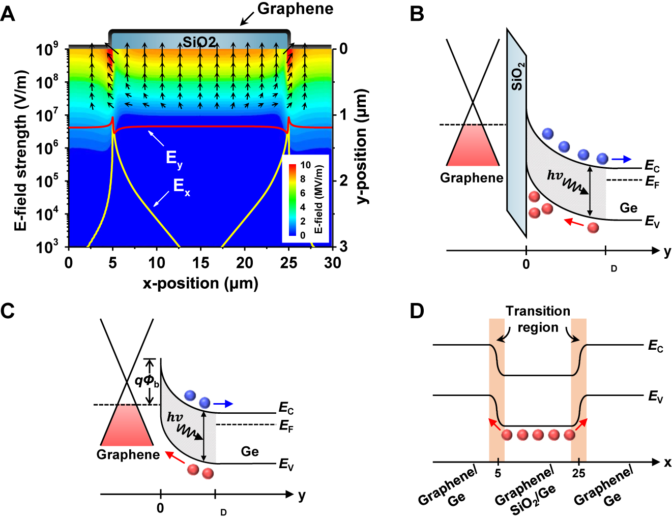 Figure 5:
(A) Two-dimensional numerical simulation of the electric field between graphene/Ge and graphene/SiO2/Ge region under reverse bias condition (VD = 4 V). Line profiles exhibit the x- and y-components of the electric field (E
x
and E
y
) 10 nm below the Ge surface along the x-direction. Black arrow: the electric field strength and direction in the Ge substrate. Schematic energy band diagrams of (B) the edge of the graphene/SiO2/Ge region and (C) the middle of the graphene/Ge Schottky junction along the y-direction. (D) Lateral band diagram along the Ge surface. Blue and red circle: photogenerated electron and hole in Ge, respectively. Here, Φb, EC, EV, EF, and WD represent the Schottky barrier height, conduction band edge, valence band edge, Fermi level, and depletion width, respectively.