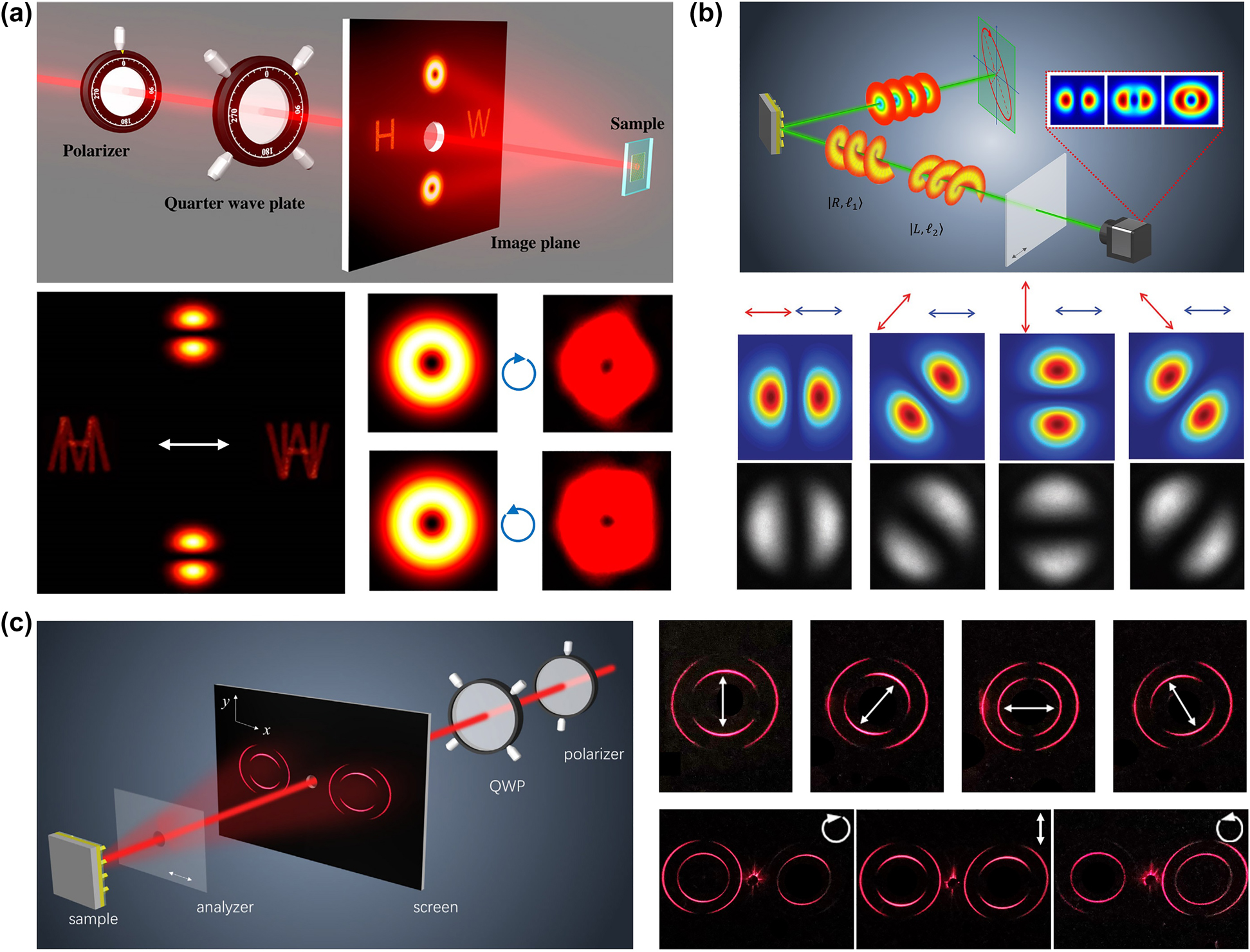 Figure 3: 
Metasurface for OV superposition.
(a) Top: Schematic illustration of simultaneous control of hologram and superposition of OV [59]. Bottom: Simulation and experimentally measured results for LP, RCP, and LCP incident light at 640 nm [59]. (b) Top: Schematic of polarization detection system using light’s OAM [60]. Bottom: Measurement of major axis for the superposition of l = +1 (1st row) and l = −1 (2nd row) [60]. (c) Left: Schematic for generation and manipulation of ring OAM beams. Incident light with various polarization states is generated by a QWP and a polarizer [68]. Right: Simulated and measured intensity distributions for the superposition of OV beams upon the illumination of incident light with different polarizations.
