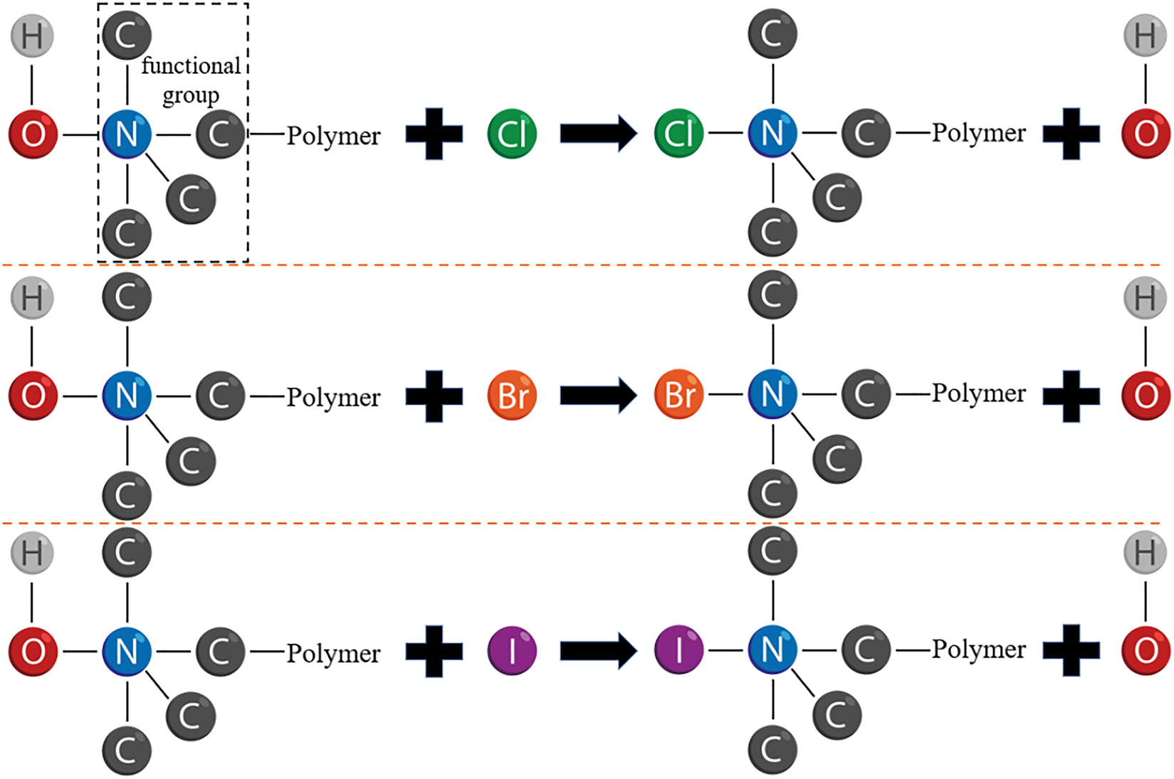 Figure 1: 
Schematic of type conversion reaction principle for anion exchange resin.
