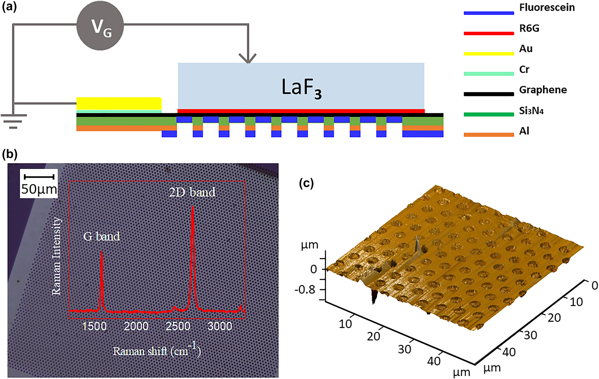 Figure 1:
(a) Structure of the fabricated device. (b) Optical microscope image of SLG transferred onto the holey Si3N4 membrane. The insert image in (b) shows the Raman spectrum obtained from SLG on the holey Si3N4 membrane. (c) AFM image of SLG on the holey Si3N4 membrane, measured in dynamic mode.