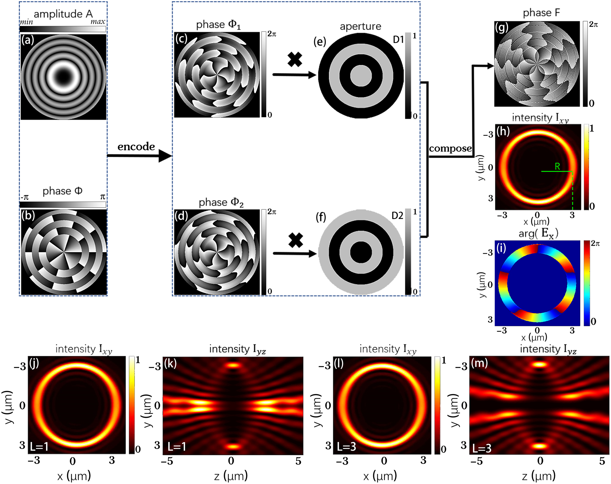 Figure 1: 
Schematic diagram of the calculation process of perfect vortex phase patterns. (a) Amplitude and (b) phase distributions of the complex field in Eq. (4). (c) and (d) Two phase-only distributions correspond to Eq. (7). (e) and (f) A pair of complementary ring-shaped apertures. (g) The final synthesized phase distribution. (h) and (i) The intensity distribution in the xy$xy$ cross-section and the phase whose topological charge l=5$l=5$. (j)–(m) are the intensity distributions in the xy$xy$ and yz$yz$ cross-sections, and the corresponding topological charges l=1$l=1$ and l=3$l=3$. Simulated parameters of tightly focused system: x polarization, λ = 800 nm, NA = 0.95, radius R = 3 μm.
