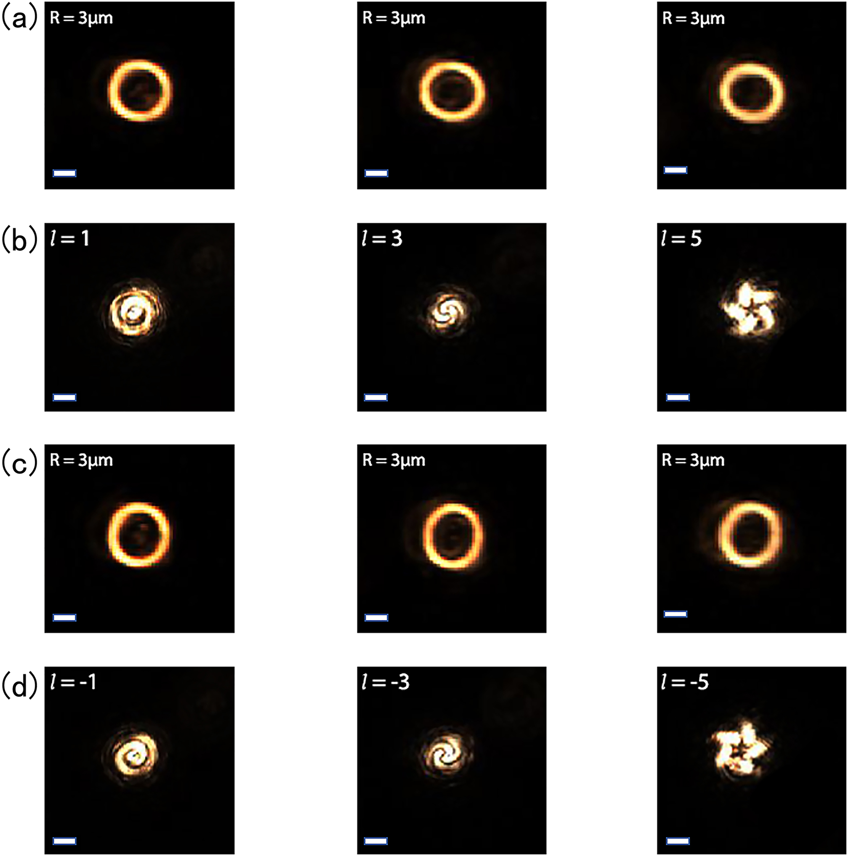 Figure 2: 
Intensity distributions and corresponding interference patterns of POVs with different topological charges. (a) and (c) Intensity patterns of POV with different topological charges on the focal plane (Z = 0). (b) and (d) The corresponding coaxial interference patterns. Scale bar: 3 μm.
