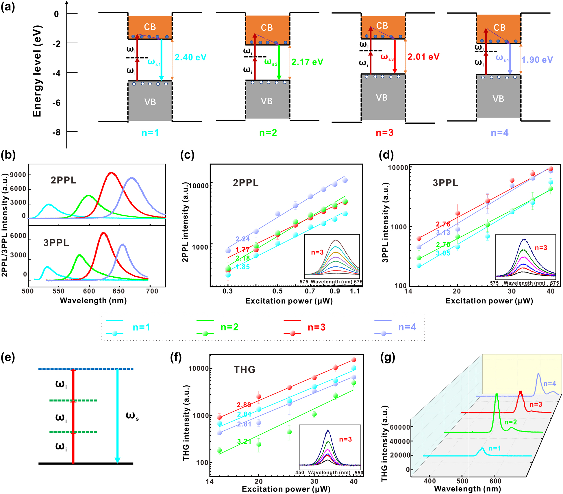 Figure 2: 
Multi-photon photoluminescence and THG responses of the 2D RPPs (BA)2(MA)
n−1Pb
n
I3n+1 (n = 1, 2, 3, 4) nanosheets.
(a) Energy band schematic diagrams of two photons absorption in single quantum well of 2D RPP (n = 1, 2, 3, 4) nanosheets. (b) Typical 2PPL/3PPL spectra of different 2D RPPs (n = 1, 2, 3, 4). Excitation powers are 1 and 30 μW for 2PPL and 3PPL, respectively. The excitation wavelengths are 800 and 1500 nm for the 2PPL and 3PPL, respectively. (c) and (d) Peak intensities of 2PPL/3PPL in 2D RPP (n = 1, 2, 3, 4) nanosheets under different excitation powers. Linear fittings are carried out on the double logarithmic coordinate system. The insets show 2PPL/3PPL spectra of 2D RPPs (n = 3) under different excitation powers (0.3–1.0 μW, step = 0.1 μW for 2PPL; 15–40 μW, step = 5 μW for 3PPL). (e) Energy band schematic diagram of THG, among them ω
i/ω
s is circular frequency of excitation/signal photons. (f) Peak intensities of THG versus excitation powers, fitted linearly in double logarithmic coordinate system. The excitation wavelength is 1500 nm. The inset is the evolution of THG spectra from the 2D RPPs (n = 3) under different excitation powers (15–40 μW, step = 5 μW). (g) The spectra of 2D RPPs (n = 1, 2, 3, 4) when they reached the largest η
THG. The excitation power is 40 μW. The excitation wavelengths are 1600, 1700, 1750, and 1800 nm for the 2D RPPs with n = 1, 2, 3, and 4, respectively.
