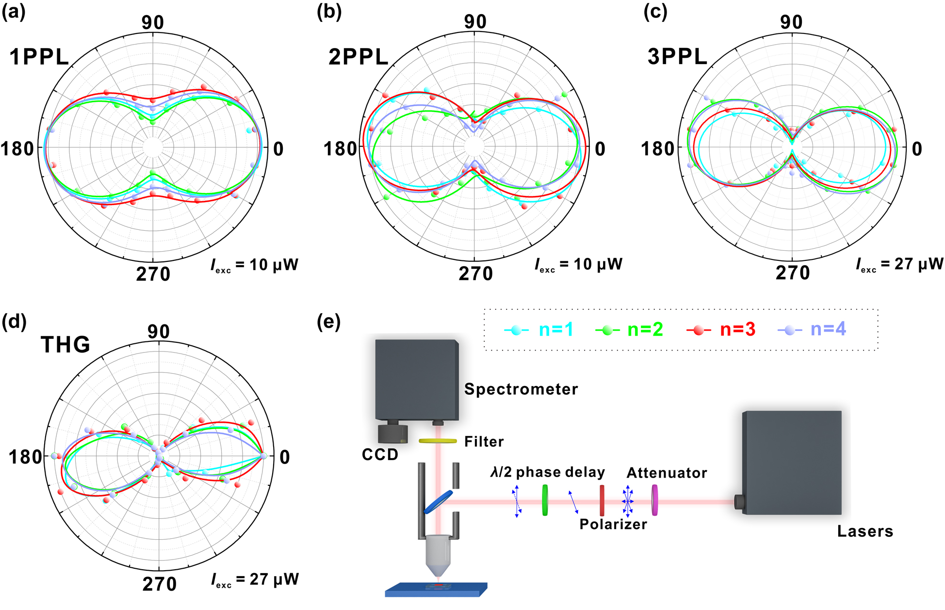 Figure 3: 
Incident light polarization dependence of 2D RPPs’ different optical processes.
(a) Incident light polarization dependence of single-photon photoluminescence (1PPL). Excitation wavelength is 400 nm. (b) Incident light polarization dependence of 2PPL. Excitation wavelength is 800 nm. (c) Incident light polarization dependence of 3PPL. Excitation wavelength is 1500 nm. (d) Incident light polarization dependence of THG. Excitation wavelength is 1800 nm. (e) Schematic diagram of polarization dependence measurement setup.
