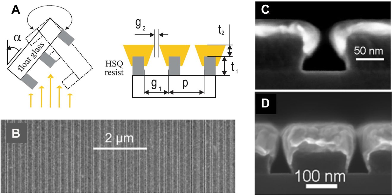 Figure 10: 
Nanogap fabrication with shadow evaporation technique.
(A) Schematic image of the method and parameters that determine the final gap width. (B) Top view SEM image of the fabricated nanogap array. (C) and (D) Cross-sectional SEM images of fabricated nanogap arrays with different gap widths. Reproduced with permission from [95].
