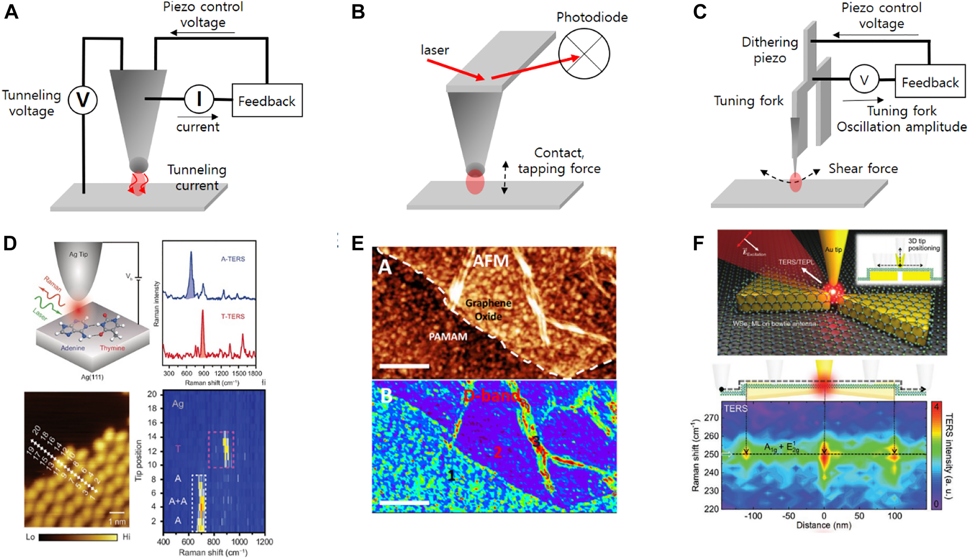 Figure 13: 
Tip based zerogap (TZ) geometries depending on feedback mechanism for tip-sample surface distance control.
(A) TZ of tunneling current feedback controlled STM probe. (B) TZ of AFM controlled by cantilever deflection magnitude feedback mechanism. The cantilever deflection is monitored by laser intensity reflected from cantilever top surface. (C) TZ of shear-force feedback controlled metallic probe. (D) Single strand DNA sequencing demonstrated by STM based TERS [139]. (E) Hyperspectral Raman image of Graphene 2D material obtained by AFM based TERS [140]. (F) Local excitation of exciton of TMD 2D material coupled to bowtie nanostructure and shear-force controlled metallic tip probe [31].
