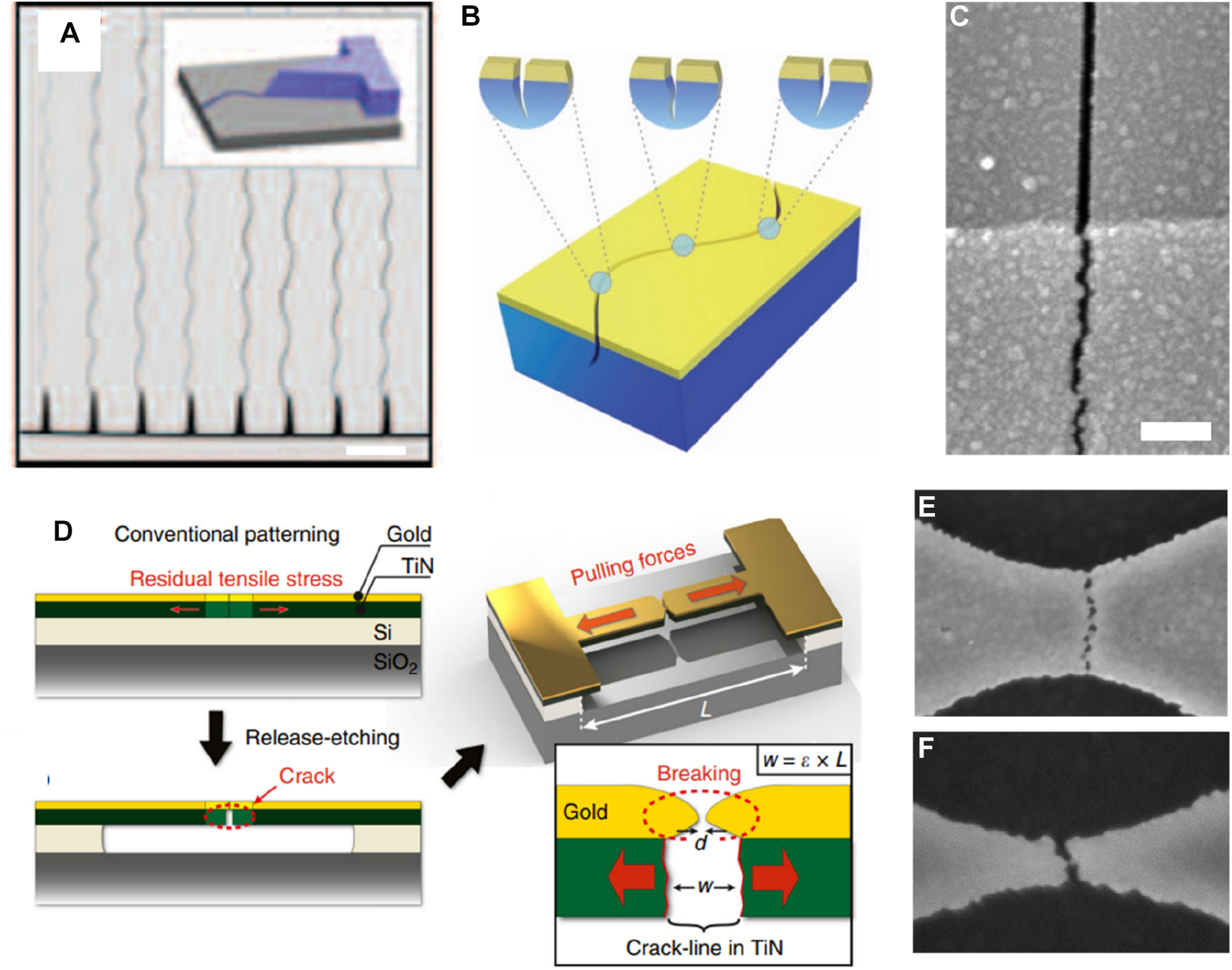 Figure 16: 
Nanopatterning with controlled cracking.
(A) Patterning of an array of oscillating slits with cracks, initiated by a notch structure. (B) Formation of cracks by strain-controlled silicon nitride films deposited on a silicon substrate. (C) Metallic nanogaps fabricated on top of a silicon nitride film. (D) Schematic description of patterning parallel metallic gaps with pre-embedded crack lines in titanium nitride films. (E) and (F) Created metallic gaps with different bar widths. Scale bar: 100 nm (C). Reproduced with permission from [28] (A) and (B) [181], (C) [182], (D)–(F).
