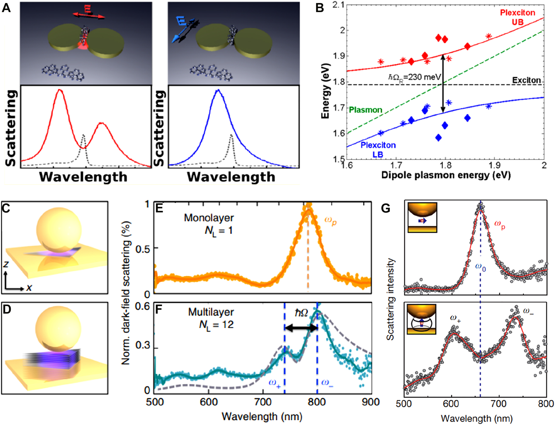 Figure 18: 
Strong coupling and Rabi splitting in nanogaps.
(A) and (B) Strong coupling between plasmons in metallic nanodimers and excitons in J-aggregates leading to a formation of plexcitons and Rabi splitting of 230 meV. (C)–(F) Nanoparticle-on-a-mirror geometry with monolayer (C) and multilayer (D) WSe2 exhibiting no coupling (E) and strong coupling (F), respectively. G Strong coupling of dye molecules with gap plasmon mode, occurring only when the transition dipole moment of the dye molecules aligns with the enhanced electric field at the gap. Reproduced with permission from [211] (A) and (B) [30], (C)–(F) [212], (G).
