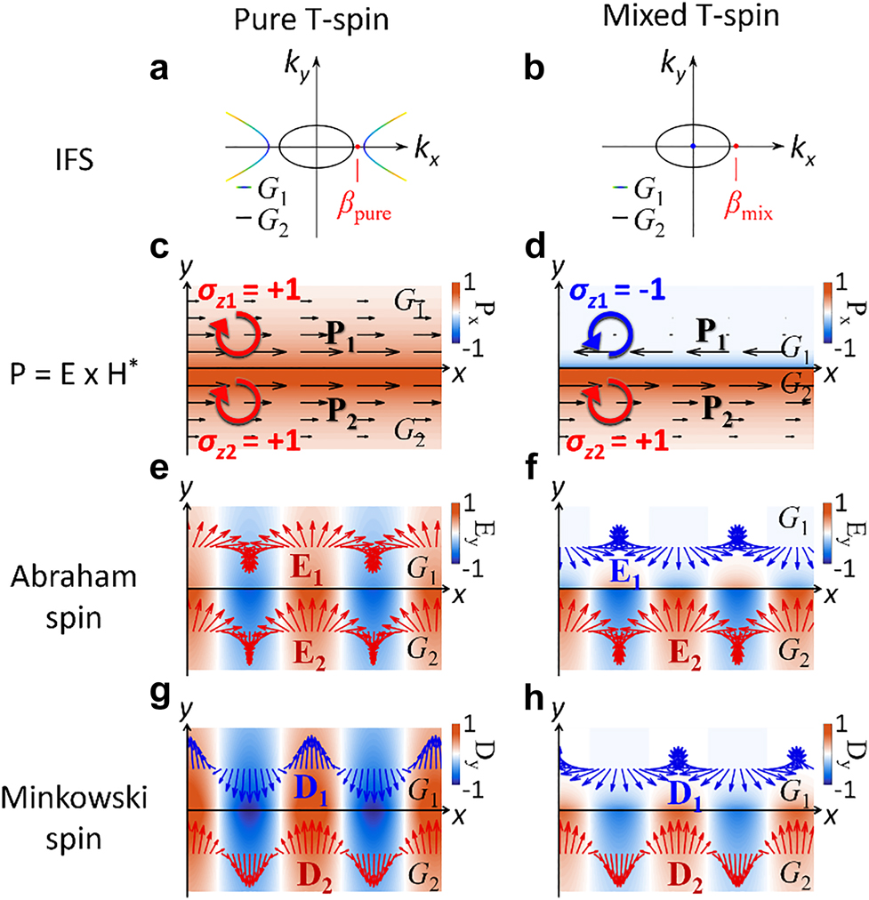 Figure 4: 
Abraham–Minkowski discrepancy in the Lifshitz interfaces.
(a and b) Wavevector diagrams of interfaces with (a) pure T-spin modes and (b) mixed T-spin modes. The red dots represent the interface states. Distributions of (c and d) P

x
 = P∙e

x
, (e and f) Re(E

y
), and (g and h) Re(D

y
) for two types of T-spin modes: (c, e, and g) a pure T-spin mode at a hyperbolic–elliptic interface and (d, f, and h) a mixed spin mode at a metal–elliptic interface. In (c and d), the black arrows depict the Poynting vectors P

1,2
, on each side of the interface. In (e–h), blue and red arrows on each side of the interface represent different spin handedness of E and D.
