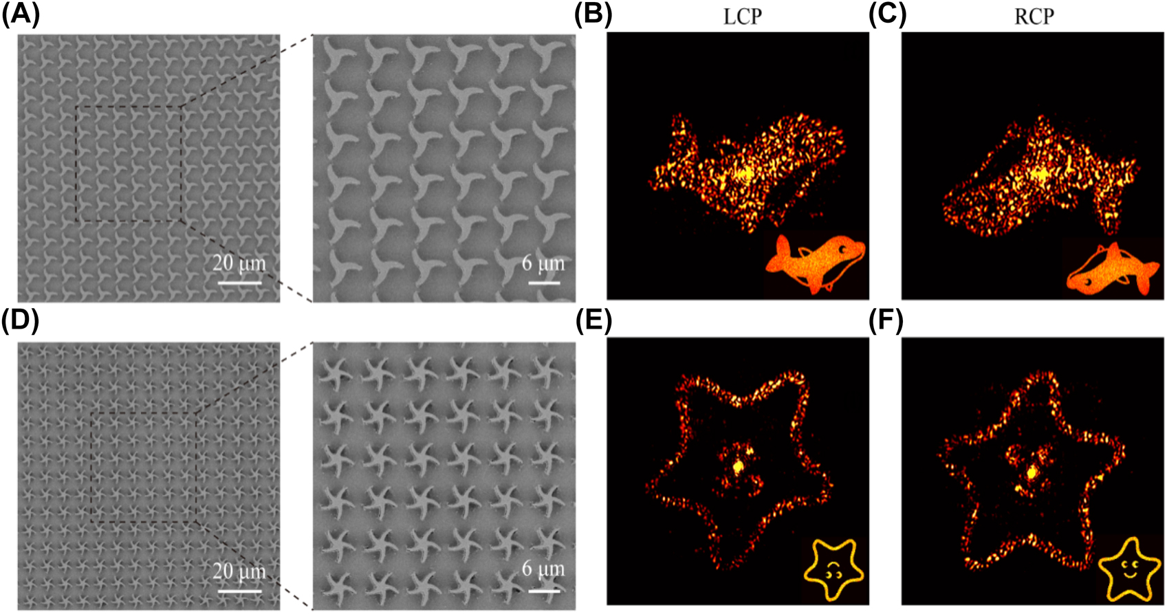 Figure 4:
Experimental demonstrations of holographic samples.
(A) and (D) SEM images of two metahologram samples. (B), (C), (E) and (F) Measured and theoretical (in the lower right corner) diffraction patterns produced by two metaholograms under LCP (left) and RCP (right) illumination. The constant background produced by thermal radiation has been removed.