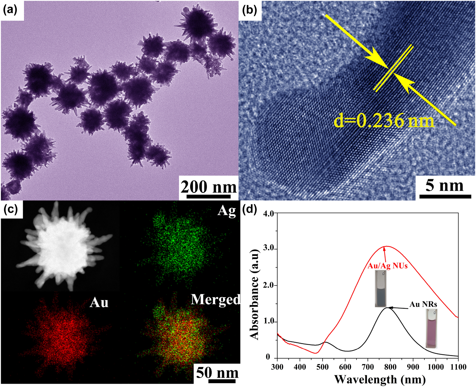 Figure 2:
The microstructure of nanoproducts.
(a) The TEM image and (b) representative HRTEM image of Au/Ag NUs. (c) The typical enlarged TEM image and the element mapping images of an individual Au/Ag NU. (d) The absorption spectra of colloidal Au/Ag NUs and Au NRs with the concentration of 0.01 mg/mL in each one.