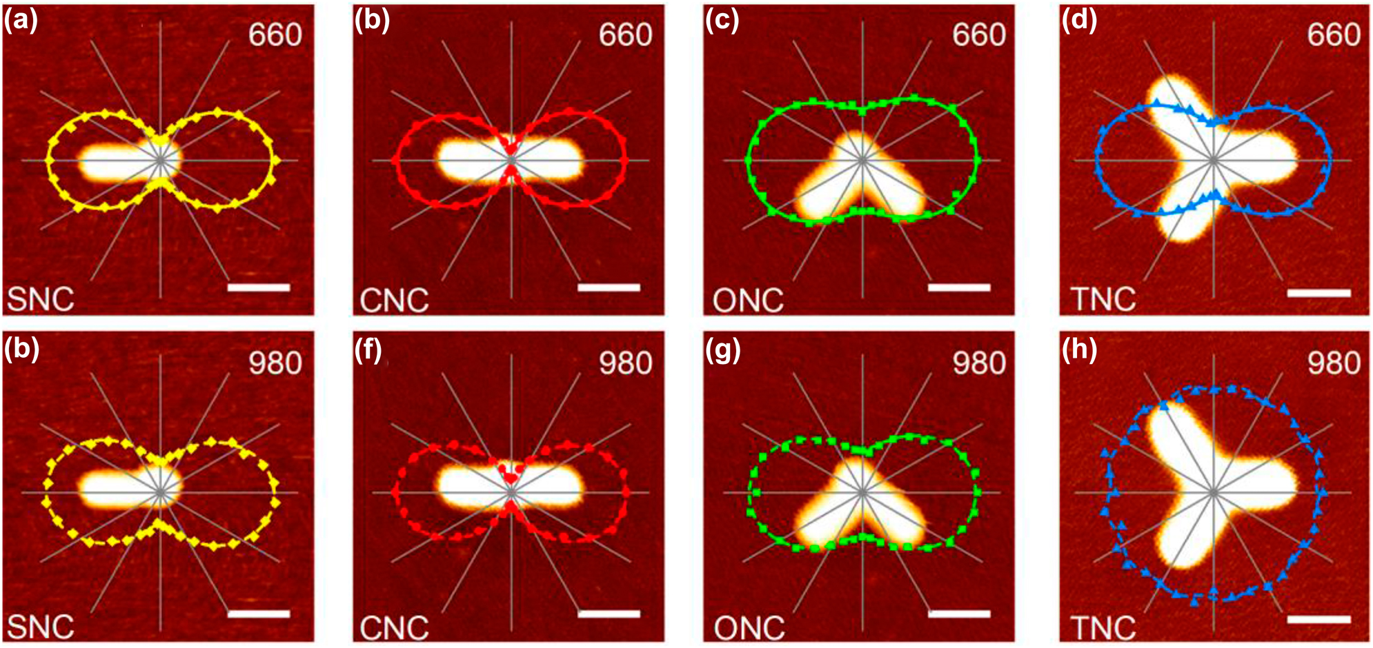 Figure 3: 
AFM topographic images of nanoantennae-load UCNP with different configurations and related polar plots of normalized UCL intensity at 660 nm (a–d) as a function of detection angle under excitation polarization angle at 0° and (e–h) as a function of excitation polarization angle under detection angle at parallel orientation. Scale bar: 100 nm. The solid curves are fitted by a sinusoidal function. The angle of ONC between two rods is 92° approximately, and the angles of TNC between the adjacent rods are about 123°, 114°, and 123° in clockwise from parallel orientation respectively.
