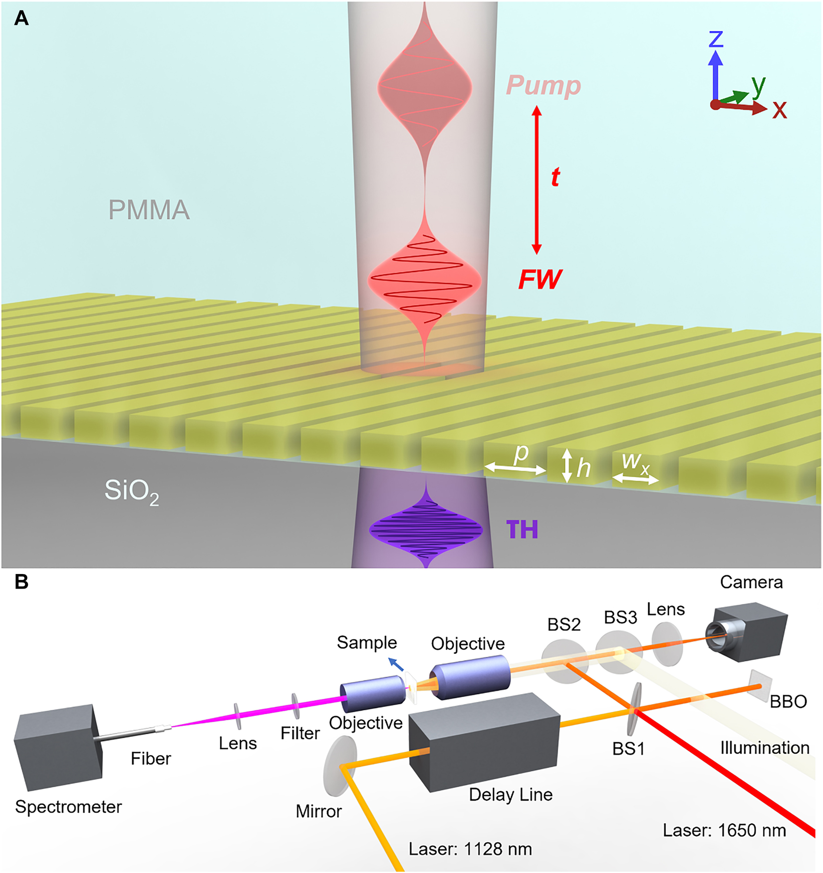 Teaser image from the article
