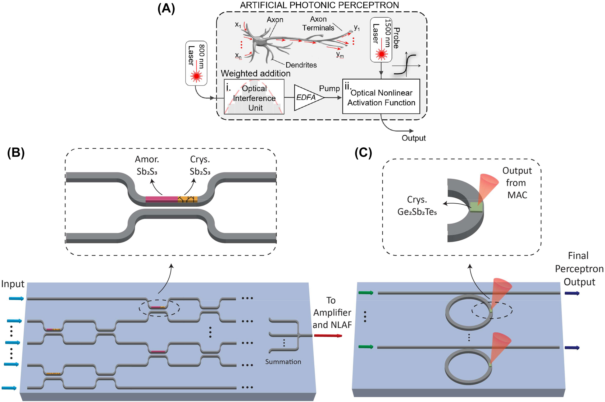 Figure 1: 
All-chalcogenide optical perceptron model. (A) Schematic diagram of the perceptron. (B) P3A consisting of a network of reprogrammable MZI weights. Reconfigurability is introduced by the Sb2S3 - tuned directional coupler arm. (C) Ge2Sb2Te5-tuned MRR NLAF.
