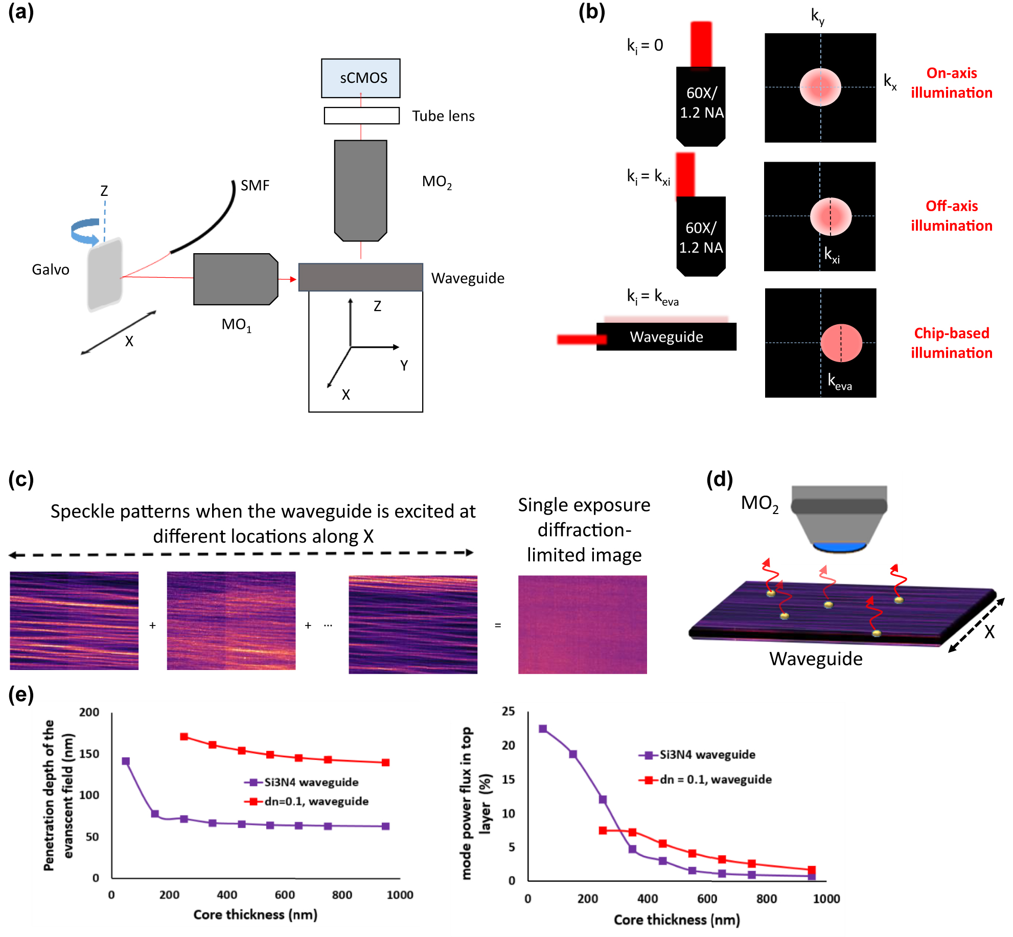 Figure 1:
Basic concepts of cELS.
(a) Schematic of cELS experimental setup. (b) Influence of obliquity of illumination in Fourier domain (k
x
–k
y
domain). Three different cases corresponding to on-axis epi-illumination (k
i
= 0), off-axis epi-illumination (k
i
= k
xi
) and waveguide chip-based illumination (k
i
= k
eva) and the corresponding object spectrum they sample are shown. Flat-field like illumination provided by high-refractive index chip provides access to the higher sample spatial frequencies. (c) The addition of multiple speckle patterns at the camera plane helps suppress the speckle noise. (d) Schematic representation of an optical waveguide supporting several guided modes and some scattering objects that convert the evanescent waves into scattering waves is also given. (e) The penetration depth and field intensity of a TE1 mode of Si3N4 high index core (Δn ≈ 0.5) waveguide and an index matched waveguide (Δn ≈ 0.1) are provided here.