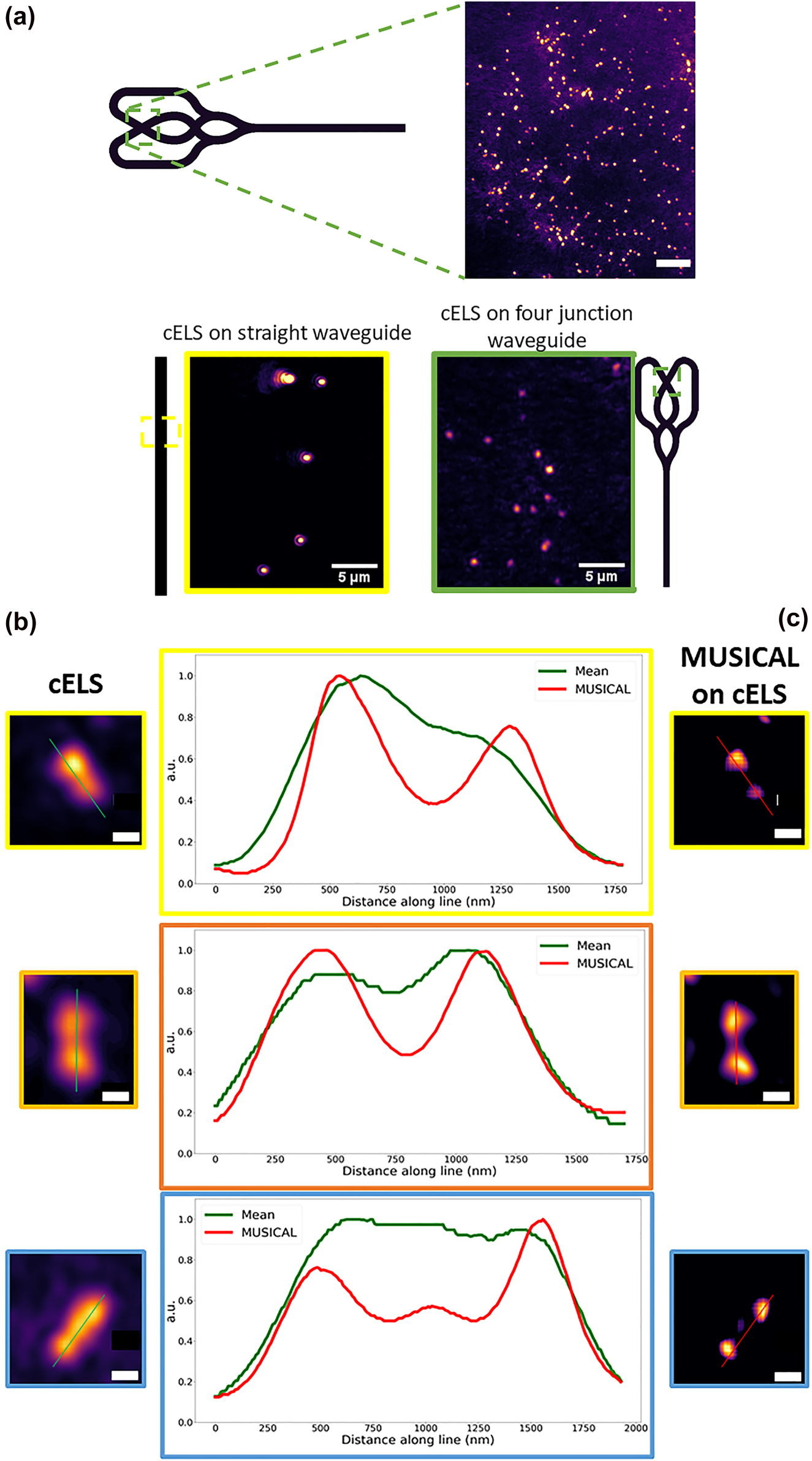 Figure 7:
cELS on four arm junction waveguide and application of intensity fluctuation algorithm to cELS images.
(a) Four arm junction waveguide used for the experiments. 100 nm polystyrene beads imaged in cELS mode using a four-arm crossing waveguide is given, scale bar 10 μm. The green dotted box in the waveguide shows the imaging region. The use of a four-arm crossing waveguide mitigates the coherent scattering noise as shown by the images of 100 nm polystyrene beads imaged using straight and four crossing waveguides. Scale bar 5 μm. (b) Three different regions of interest of 100 nm polystyrene beads imaged in cELS mode. (c) The corresponding MUSICAL reconstruction is shown. A stack of 100 images is given as input for MUSICAL. Three separate regions of interest in yellow, orange, and blue boxes in cELS and the corresponding MUSICAL reconstructions are shown side by side. The line profiles of the regions are given as well. Scale bar 500 nm.