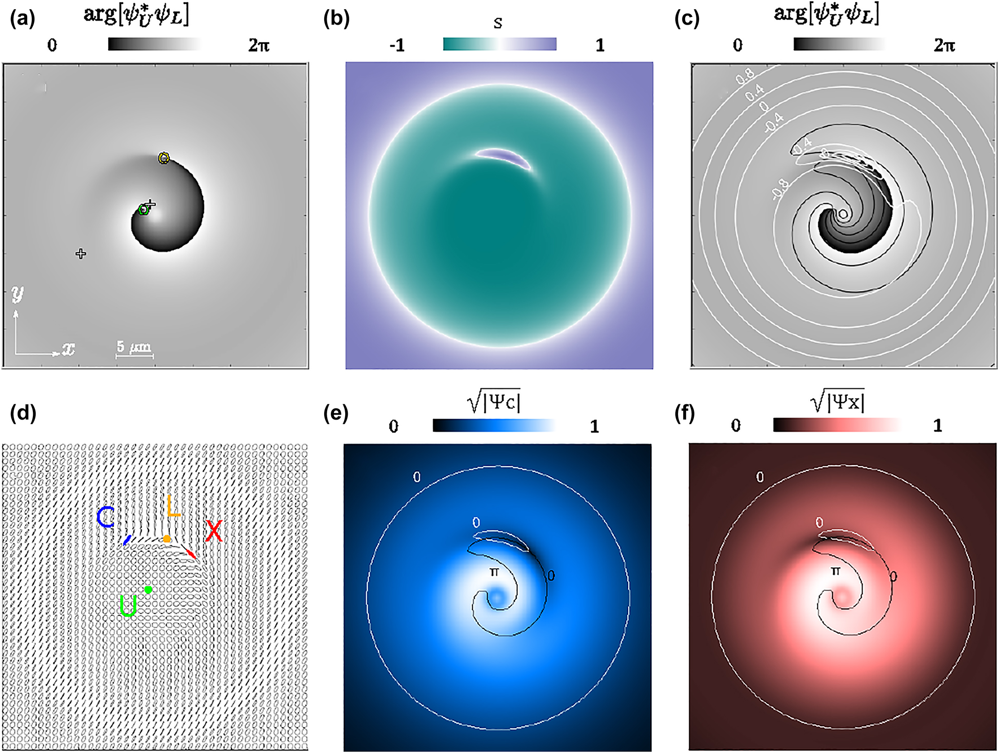 Figure 4: 
Various representations of the fields morphology, namely, based on their relative phase 


σ
=
arg



ψ
U
*


ψ
L




$\sigma =\mathrm{arg}\left[{\psi }_{\text{U}}^{\ast }{\psi }_{\text{L}}\right]$


 and amplitude 



s
=


{

|


ψ


U



|
2

−
|


ψ


L



|
2


}


{

|


ψ


U



|
2

+
|


ψ


L



|
2


}




$s=\frac{\left\{\vert {\psi }_{\text{U}}{\vert }^{2}-\vert {\psi }_{\text{L}}{\vert }^{2}\right\}}{\left\{\vert {\psi }_{\text{U}}{\vert }^{2}+\vert {\psi }_{\text{L}}{\vert }^{2}\right\}}$


 (in upper–lower polariton basis), isolines of σ and s, ellipses (in upper–lower polariton basis), and amplitude (the square root is used to enhance the contrast) of the photon and exciton fields together with vortex cores and saddle points, at t = 3.15 ps.
(a) The phase map of σ, also shows the positions of vortices in the upper–lower basis. Indeed, the unitary vortex charges in each of the two fields compose a vortex dipole in the relative phase map. The displaced vortices (located at yellow and green rings) also induce two saddle points (indicated by two cross symbols) in the relative phase. (b) The relative amplitude s (or equivalently the amplitude of quantum states) varies between −1 and 1 and has an inhomogeneous profile. Panels (a) and (b) imply that all quantum states of the Poincaré sphere are simultaneously present in the 2D space. (c) The isolines of relative phase (shown as black curves, at π/3 intervals) are superimposed with isolines of the relative amplitudes: 


s

$s$


 (white lines, at 0.4 intervals). (d) Elliptical representation of the polariton state and its spatial variations in 2D space. The green (yellow) point, where the state of the ellipse becomes a circle, corresponds to the upper (lower) vortex core. The state of the ellipse is linear at the exciton and photon vortex cores (blue antidiagonal and red diagonal, respectively). Indeed, at the exciton and photon vortex cores, the polariton state is purely photonic and excitonic, respectively. (e) Squared amplitude of the photon field, with the position of the vortex core at intersection of s = 0 and σ = 0. (f) Squared amplitude map of the exciton field, with the position of the vortex core at the intersection of s = 0 and σ = π. The vortex cores in real space move along the inner white curve during a Rabi cycle.
