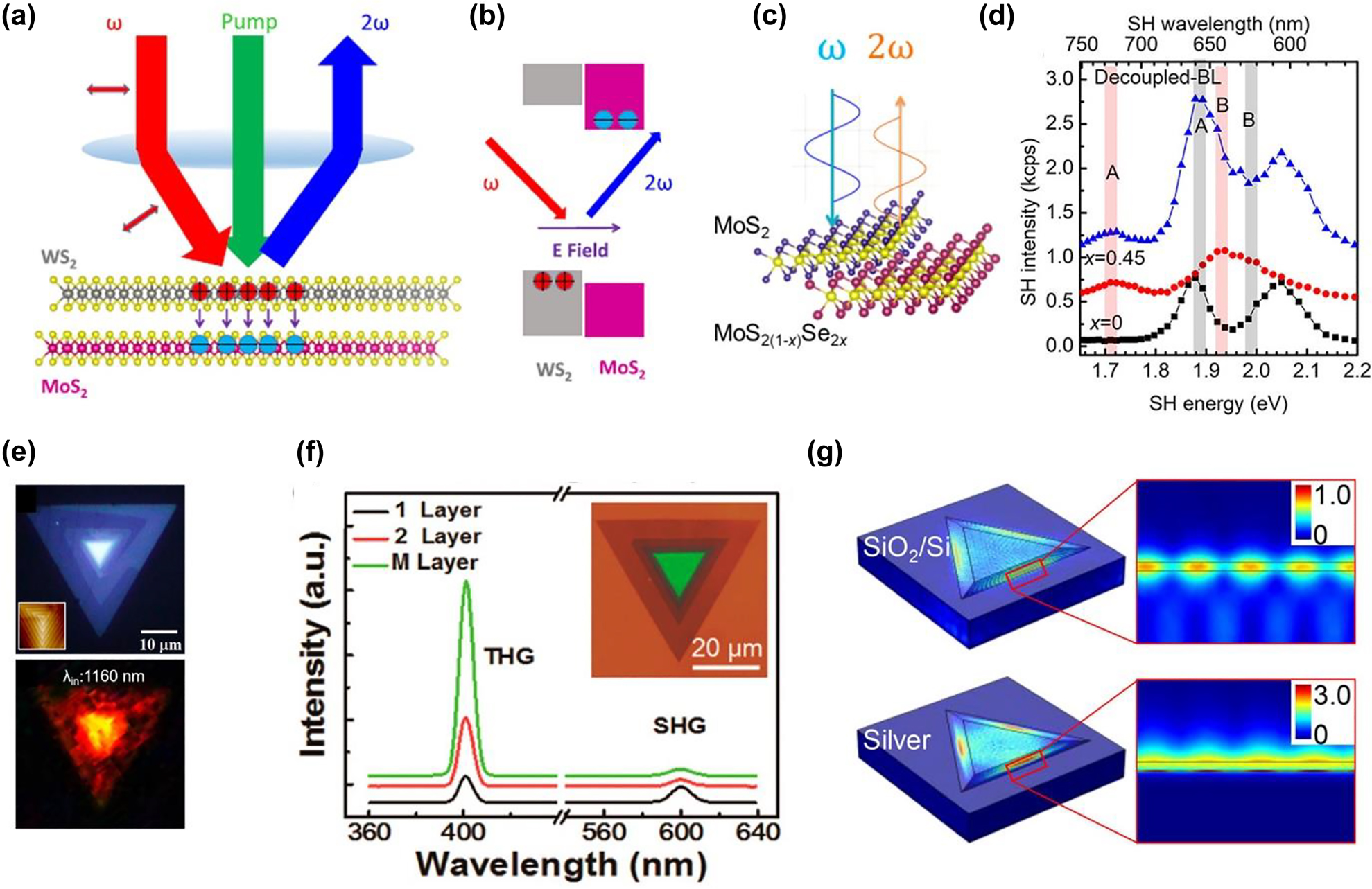 Figure 4: 
Representative works of HG in vdW heterostructures II. (a) Field-induced SHG when a pump pulse impinges on WS2/MoS2 heterostructure and produces electrons and holes. The separation of the charge carriers generates an electric field that is sensed by SHG. (b) Band alignment of WS2/MoS2 and expected charge separation. (c) Generation of SHG in MoS2/MoS2(1−x)Se2x
 heterostructure. (d) Wavelength dependent SHG spectra for 1L-MoS2 in black, 1L-MoS2(0.55)Se(0.45) decoupled hetero 2L-MoS2/MoS2(1−x)Se2x
 (intercalated with a 10-nm-thick SiO2 layer) in blue color. (e) Optical image of the spiral WS2 flake on the quartz substrate (top); inset is the AFM image of the spiral WS2 flake. SHG image at 1160 nm excitation wavelength of fs-laser for the corresponding top optical image (bottom). (f) Dependence of SHG and THG in WS2 on the number of layers. Inset: the optical image of spiral WS2 stacking structure in which the top layer is green. (g) Calculated electric field distributions in a pyramid-like multilayer WS2 on SiO2/Si (up) and Ag (bottom) substrates, respectively. The figures are reproduced with the permission: (a) and (b) ref. [73] © 2019 AIP Publishing (c) and (d) ref. [76] © 2020 American Chemical Society (e) ref. [72] © 2020 American Chemical Society (f) ref. [80] © 2017 American Chemical Society (g) ref. [77] © 2018 American Chemical Society.
