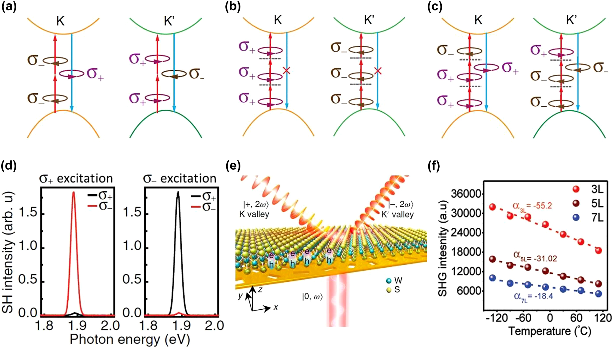 Figure 9: 
Valley and temperature assisted HG and selection rules for HG in TMDs. (a)–(c) Chiral selection rules of SHG and THG for TMDs. (d) Circularly polarization-resolved SHG spectra from 1L-WSe2 with the circularly polarized fundamental wave at 0.94 eV. (e) Schematic of Au-WS2 metasurface used for coherent steering of nonlinear chiral valley photons in 1L-WS2. (f) Temperature-dependent SHG spectra for MoSe2 flakes with different thicknesses. The figures are reproduced with the permission: (a)–(d) ref. [233] © 2019 Optical Society of America (e) ref. [111] © 2019 Nature Publishing Group (f) ref. [239] © 2020 Wiley-VCH Verlag GmbH & Co. KGaA, Weinheim.

