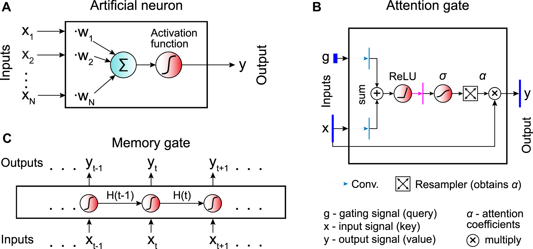 Figure 1:
Building blocks of artificial neural networks.
A The basic unit of a neural network is the artificial neuron, which performs the sum of its inputs (x
i
) weighted by trainable parameters (w
i
) and applies an activation function to get its output (y). B Temporal information can be encoded by introducing memory gates, which retain memory of their history of inputs. The output y
t
at the time step t depends on both the current input x
t
and the hidden state H
t−1 obtained in the previous step. Neural networks containing one or multiple memory gates are called recurrent neural networks (RNNs). C Attention gates provide a way to detect long-range temporal or spatial dependencies within the data by guiding the network towards the most relevant parts of the input data.