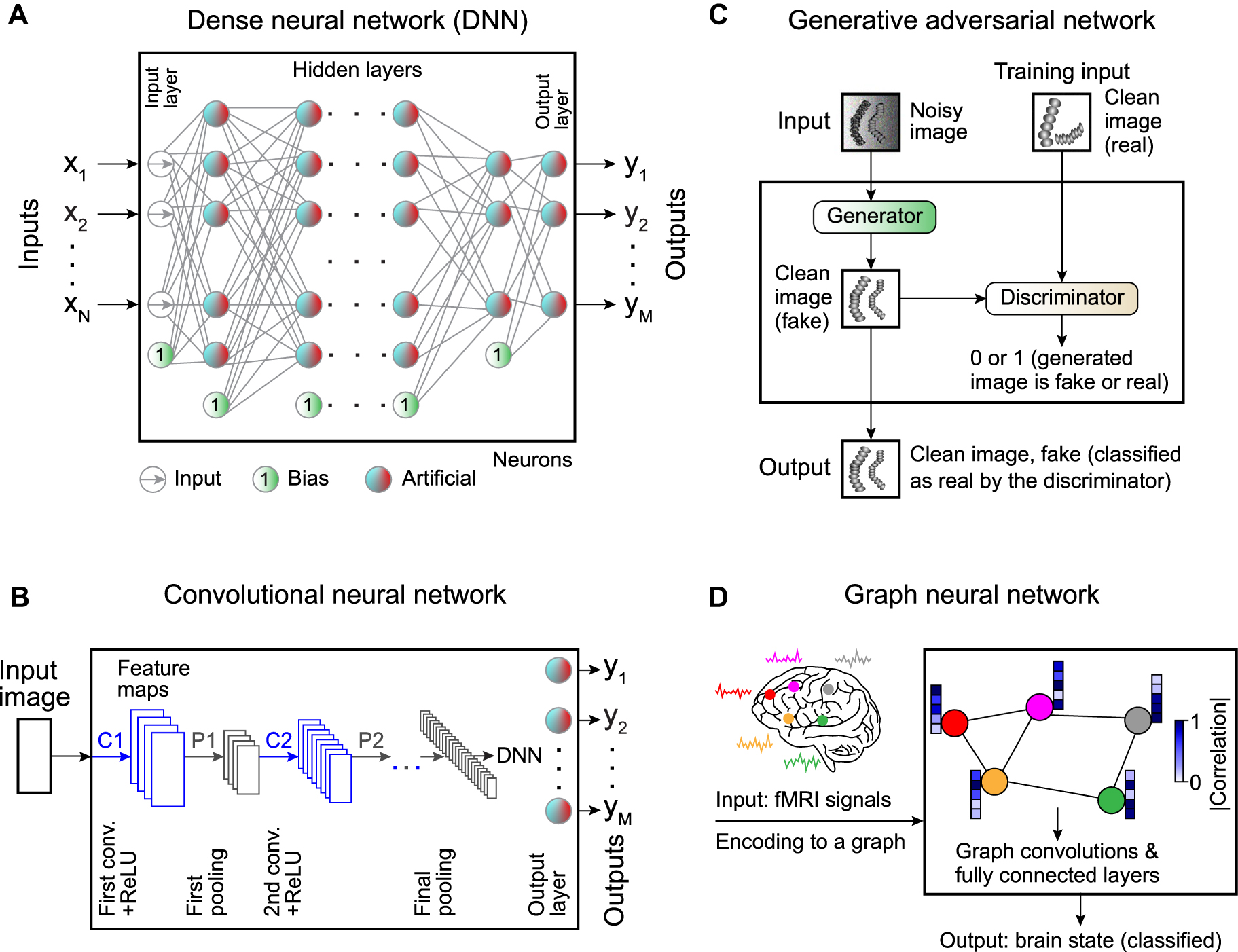Figure 2:
Commonly employed neural networks.
A Artificial neurons can be combined in a dense neural network (DNN), where the input layer is connected to the output layer via a set of hidden layers. All the nodes in each layer are connected to all the nodes in the subsequent layer, hence the name “dense.” There are also bias neurons that add a constant to the weighted sum. B Spatial information can be preserved using a convolutional neural network (CNN) with convolutional kernels whose weights are trainable parameters. C Generative adversarial networks (GANs) provide a framework to generate synthetic data. Synthetic data is generated by passing input data through a neural network (the generator), while a second neural network (the discriminator) tries to determine whether the data is real or synthetic. The discriminator’s output is used during training to guide the generator to produce more realistic data. D Graph neural networks (GNNs) provide a powerful method to analyze complex dependencies in the input data using the framework of graph theory.