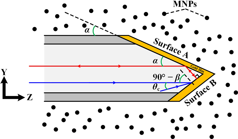 Figure 1:
Sensing structure of the wedge-shaped SPR multimode fiber sensing probe.