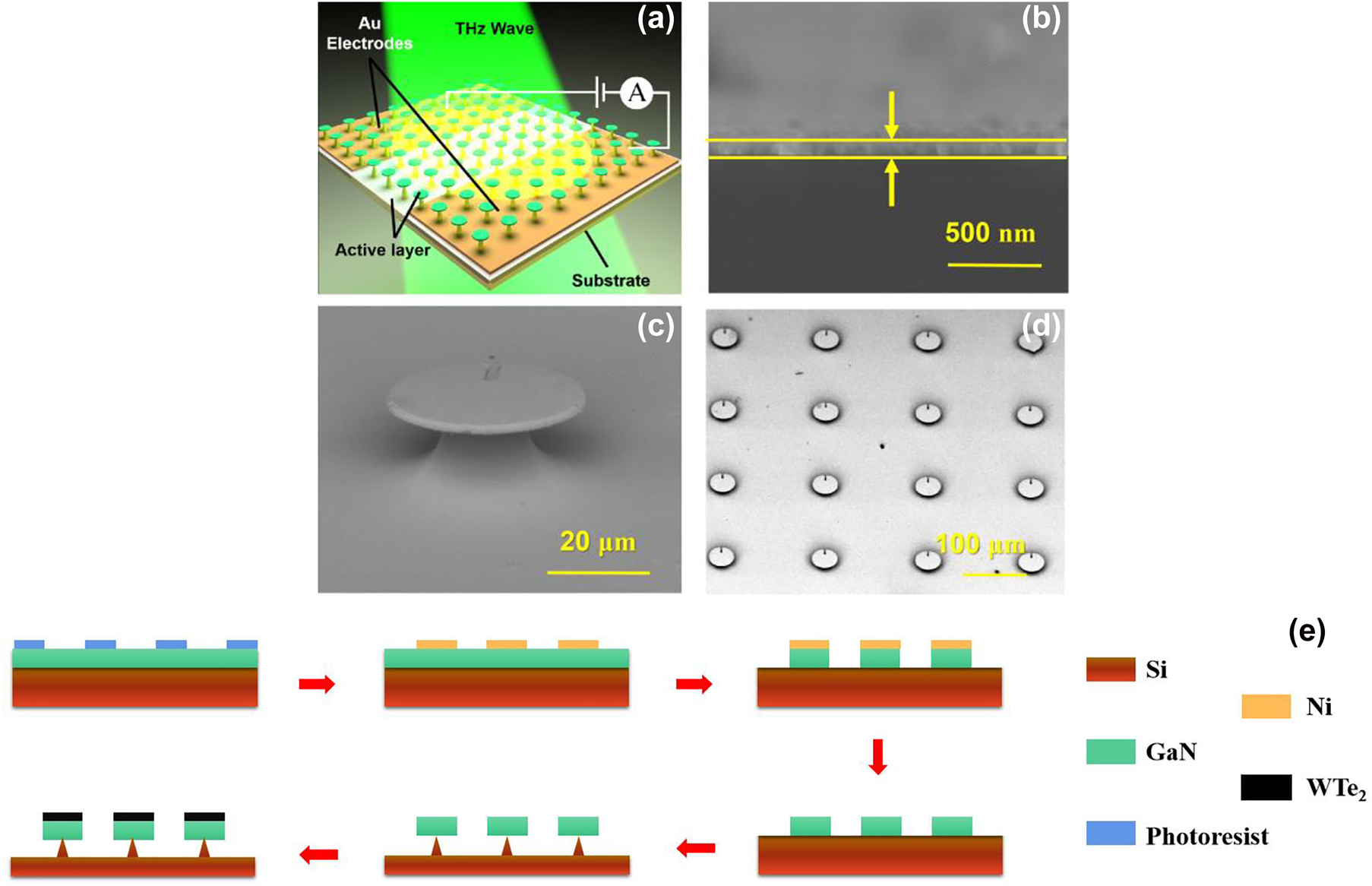 Microdisk array based Weyl semimetal nanofilm terahertz detector