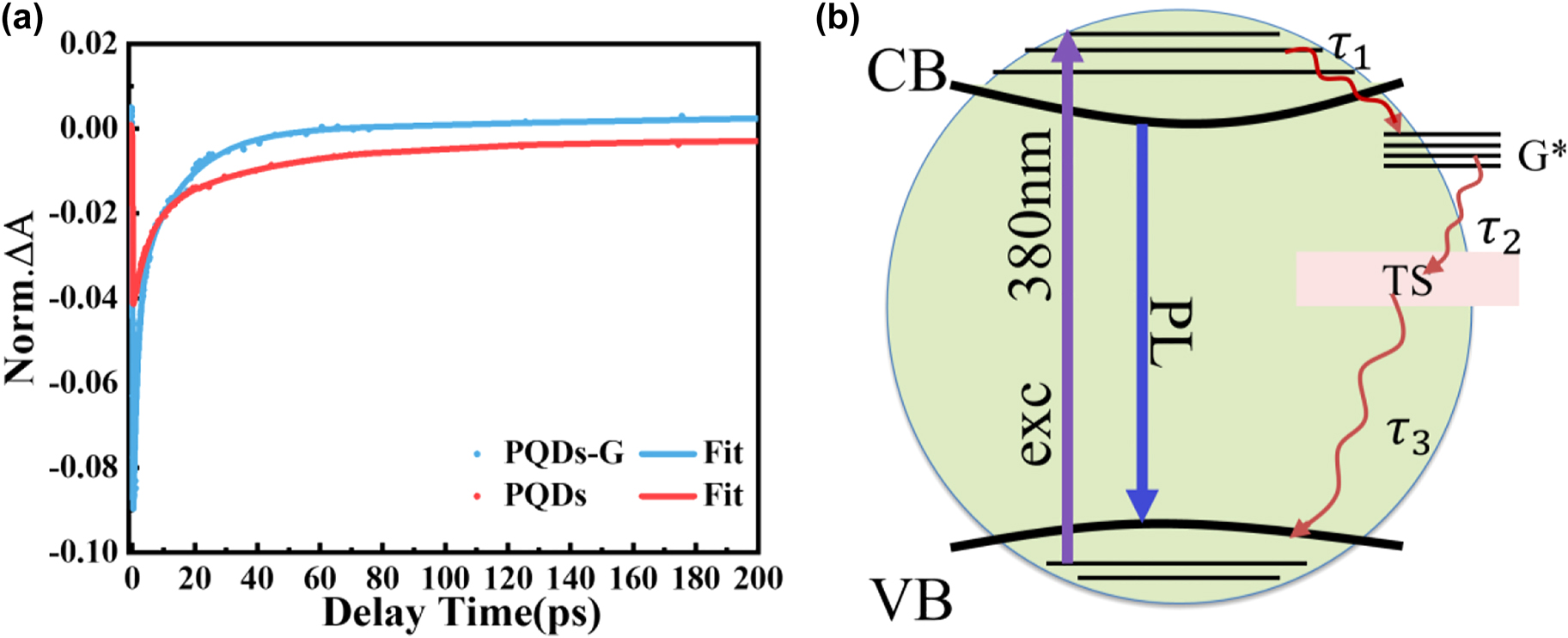 Figure 8:
(a) TA decay kinetics (dotted lines) with triple exponential fitting curves (solid line) of PQDs (red) and PQDs-G (blue) under 380 nm excitation. (b) Schematic representation of the proposed charge transfer model in PQDs-G.