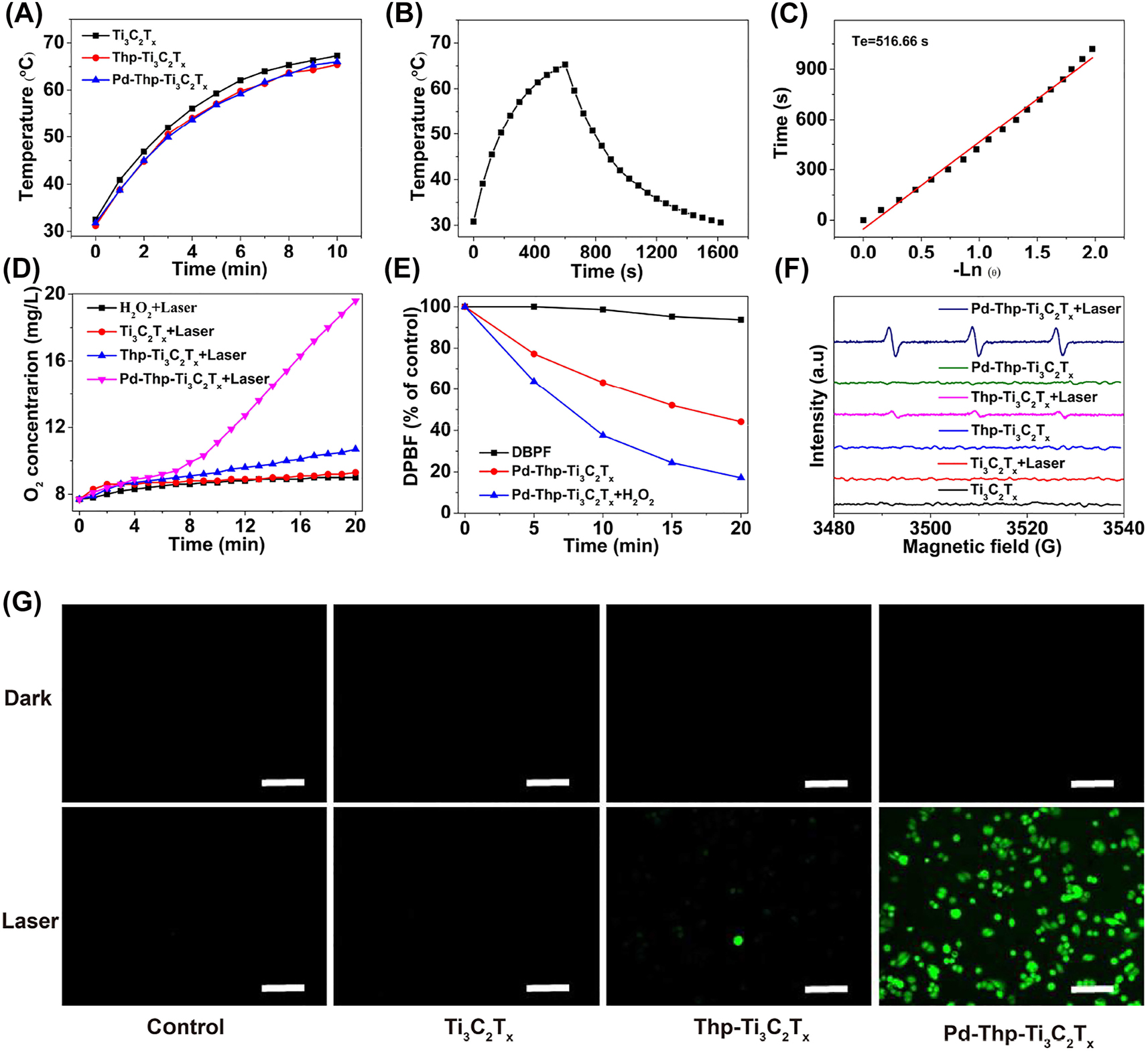 Figure 3: 
(A) Photothermal heating profiles of Ti3C2T
x
, Thp-Ti3C2T
x
, Pd-Thp-Ti3C2T
x
 (50 ppm). (B) Photothermal profile of Pd-Thp-Ti3C2T
x
 (50 ppm) under irradiation. (C) Heat-transferring time constant (Tε) obtained from the data of natural cooling period (R2 = 0.99). (D) O2 concentration of H2O2 solution after adding different nanocomposites under irradiation. (E) Decay curves of DPBF absorption at 410 nm in Pd-Thp-Ti3C2T
x
 with or without H2O2 after different time point of irradiation. (F) 1O2 generation for different nanocomposites characterized by ESR spectra in dark or under irradiation. (G) Intracellular ROS levels under irradiation were evaluated in SW480 cells by using DCFH-DA as the ROS probe (Scale bar: 100 μm). (Irradiation condition: 808 nm, 1.0 W/cm2, 5 min).
