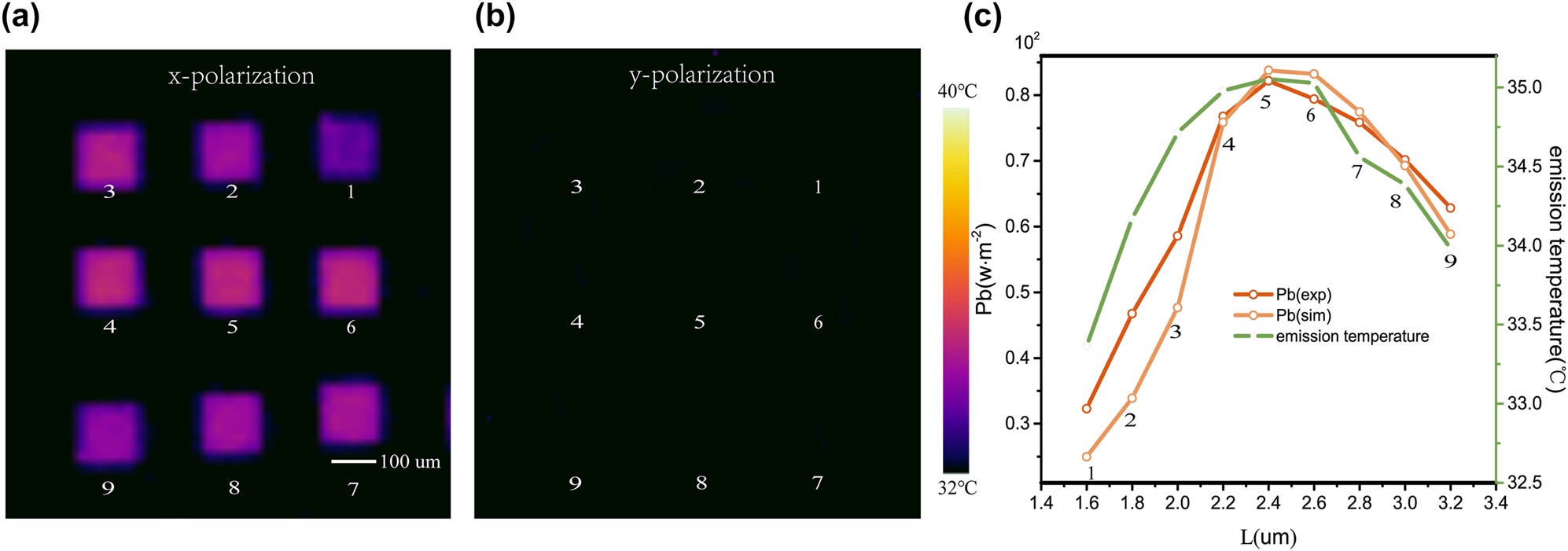 Figure 2: 
Thermal images of meta-cavity array based thermal emission microchip. The thermal images taken under x polarizer (a) and y polarizer (b) after heating the sample to 100 °C. (c) Calculated thermal radiation energy Pbexp, Pbsim and the average emission temperature of each meta-cavity structure under x polarizer.