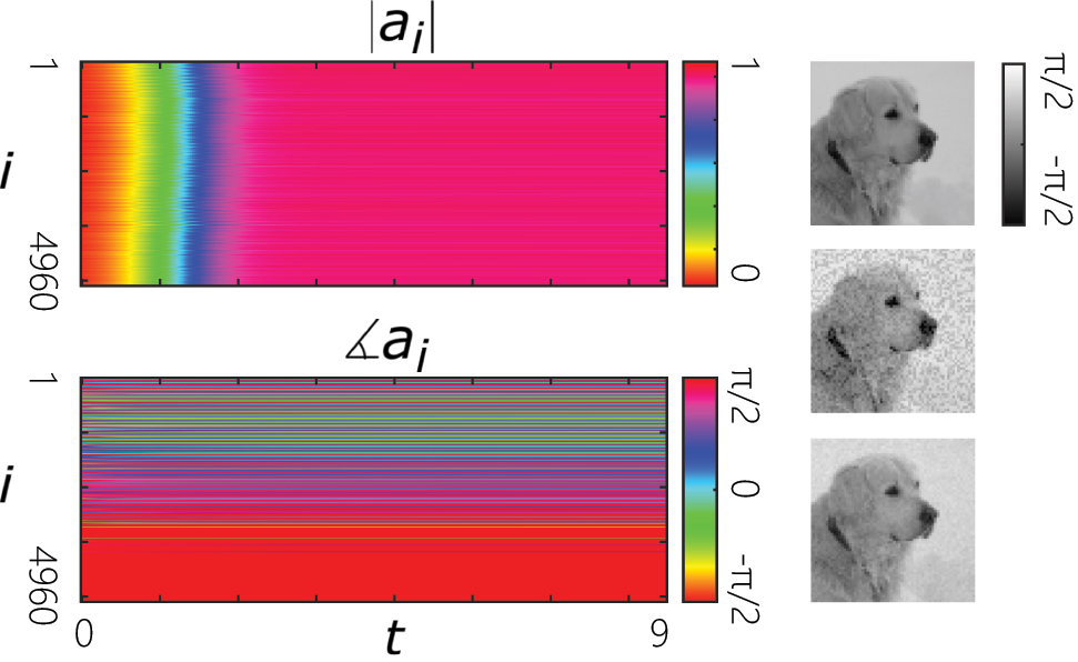 Figure 5: 
An exemplary simulation of the network described in Figure 4 under frequency and linewidth detuning of individual oscillators according to Eq. (9). Left: A raster plot of the dynamics of the amplitudes and phases of the oscillators. Right: Reconstruction of a perturbed image. Here, the normalized frequencies and decay rates of oscillators are randomly perturbed with random numbers drawn from a normal distribution with a standard deviation of 5% of the decay rate of a single cavity.