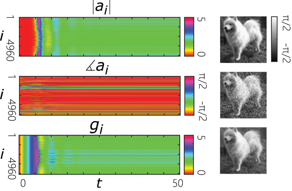 Figure 6: 
An exemplary simulation of the network described in Figure 4 when considering gain dynamics according to Eqs. (10). Left: A raster plot of the dynamics of the amplitudes, phases and the gains of the oscillators. Right: Reconstruction of a perturbed image. In these simulations, the photon to gain lifetime ratio is taken to be τ
p
/τ
g
 = 0.1.