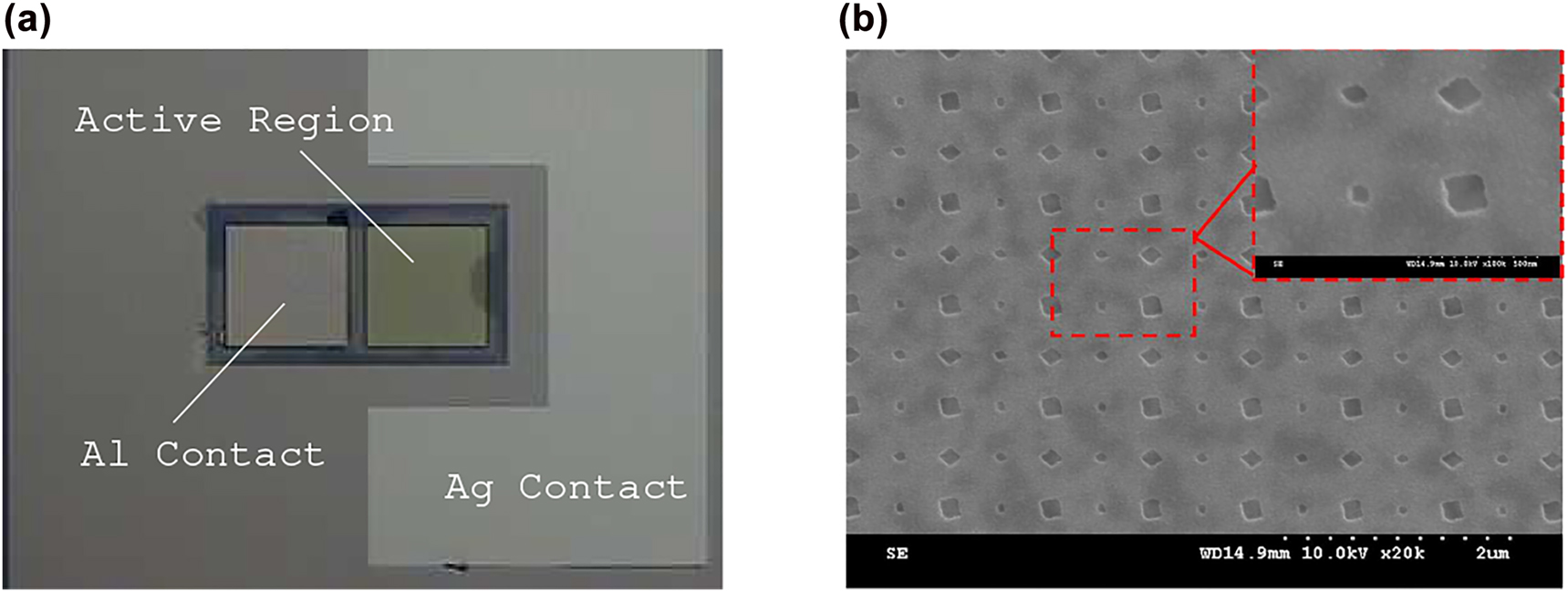 Figure 8: 
The fabricated photonic-plasmonic Schottky PD: (a) the optical image (at 500×), showing the layout of top-Al and bottom-Ag electrodes along with the active region having an area of 


∼
4.6457
×
1


0


−
2




$\sim 4.6457{\times}1{0}^{-2}$



 mm2 and (b) the scanning electron microscope image of the fabricated array of nano-square prisms. The optical image was taken after the deposition of Si3N4 film.
