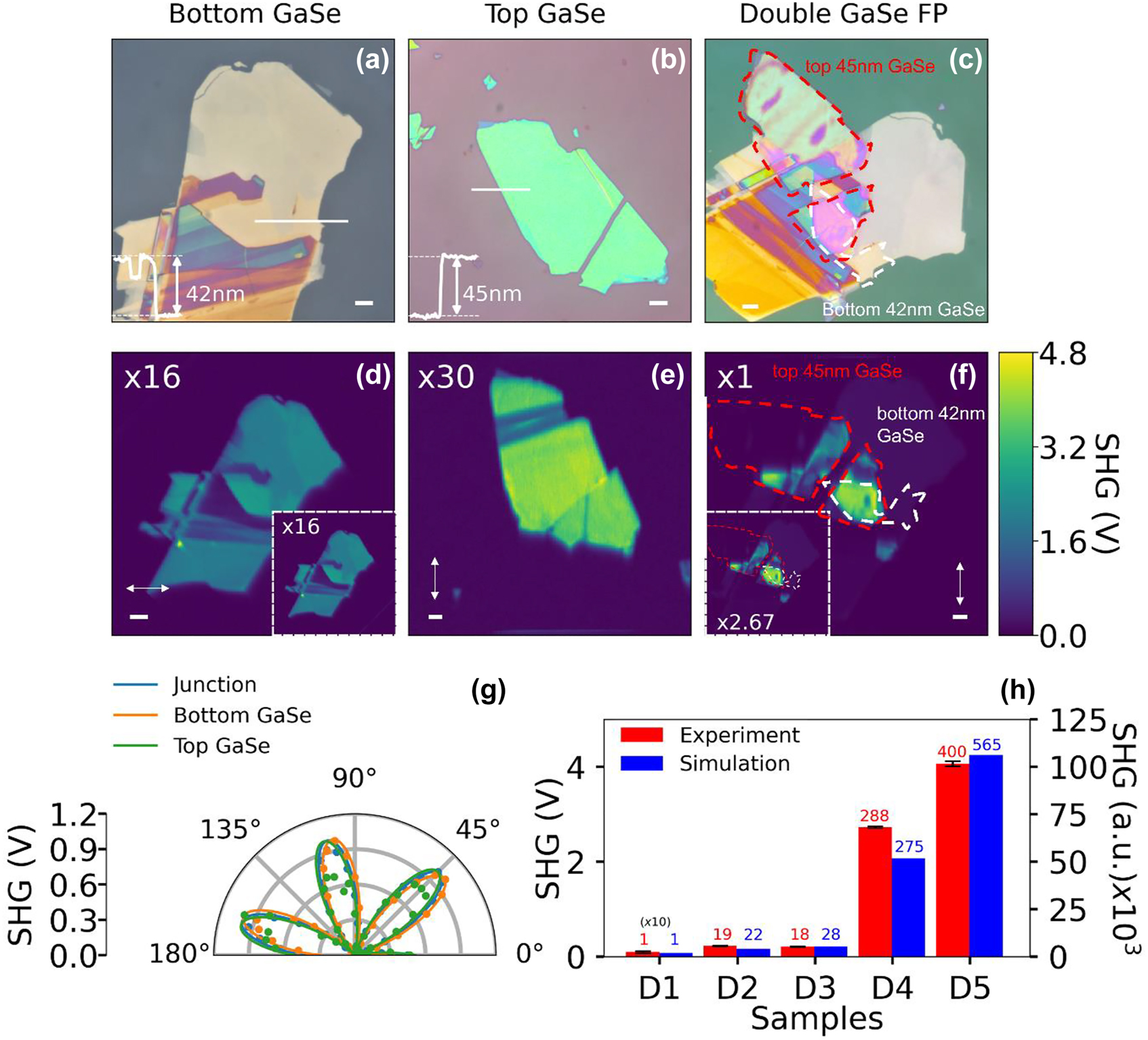 Figure 4: 
Summary of the experimental studies on the double GaSe FP structure. Optical images of samples: (a) 42 nm bottom GaSe/130 nm SiO2 without PMMA coating, (b) 45 nm top GaSe on PMMA coated substrate and (c) 270 nm PMMA encapsulated double GaSe FP structure. The red and white dashed outline highlights the region of interest for the top GaSe and bottom GaSe. SHG images of: (d) 190 nm PMMA spacer coated 42 nm bottom GaSe/130 nm SiO2, (e) 45 nm top GaSe on PDMS sheet and (f) 270 nm PMMA encapsulated double GaSe FP structure with the dashed outline delineating the top and bottom GaSe. Insets in (d, f) show the SHG image of the double GaSe FP structure without the PMMA layer. The armchair direction for both the top and bottom GaSe layers is indicated by the double-sided arrow. Scale bar for all optical and SHG image correspond to 5 µm. (g) Polar plot showing PSHG data correspond to top GaSe (green curve), bottom GaSe (orange curve) and the overlap region (blue curve) as a function of incident fundamental polarization angle. The circles show the experimental data and solid curves show the cos2(3θ) fit. (h) Bar-graph comparing experimental (red bars) and simulated (blue bars) SHG signal strength at different stages of fabrication of the double GaSe FP structure. The samples considered for comparison are: D1 (reference sample): 40 nm GaSe/300 nm SiO2, D2: 42 nm bottom GaSe/130 nm SiO2, D3: 190 nm PMMA/42 nm bottom GaSe/130 nm SiO2, D4: 45 nm top GaSe/190 nm PMMA/42 nm bottom GaSe/130 nm SiO2, and D5: 270 nm PMMA/45 nm top GaSe/190 nm PMMA/42 nm bottom GaSe/130 nm SiO2. The SHG enhancements factors for experiments and simulations are indicated on top of each bar graph.
