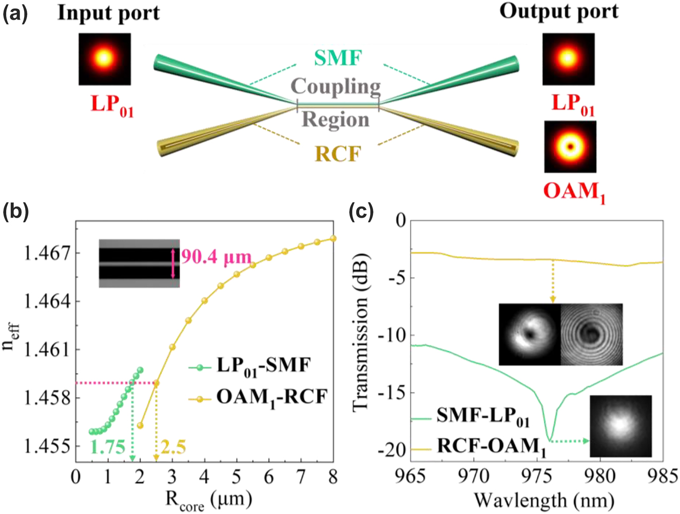 Figure 6: 
Theoretical modeling and practical performance of MSC. (a) Schematic setup of MSC. (b) Variation of n
eff distribution of the LP01 mode in SMF and the OAM1 mode in RCF with the change of fiber core (ring core) radius. In experiment, when the pre-stretched diameter of SMF is 90.4 μm, MSC can generate the OAM1 mode. (c) Transmission spectra of the MSC in 965–985 nm, in which the transmission powers of the OAM1 and LP01 modes are close to −3 dB and below −19 dB.
