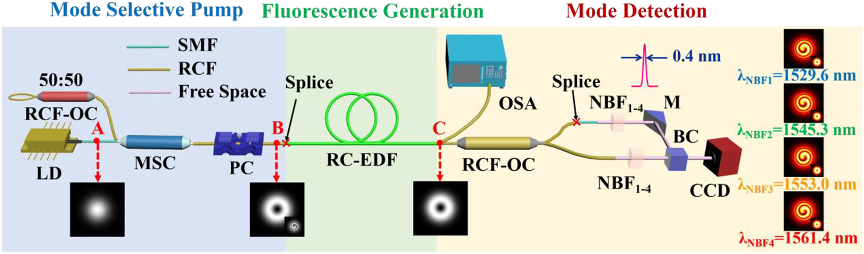 Figure 7: 
Schematic diagram of an all-fiber system of the OAM mode fluorescence emission, spectral analysis and mode detection. LD: laser diode; OC: optical coupler; MSC: mode selective coupler; PC: Polarization controller; RC-EDF: ring-core erbium-doped fiber; NBF: narrow-band filter; M: mirror; BC: beam combiner. CCD: charge-coupled device. NBFs with a band width of 0.4 nm are employed to select the narrow-band beam at the wavelengths of 1529.6, 1543.3, 1553.0, and 1561.4 nm.
