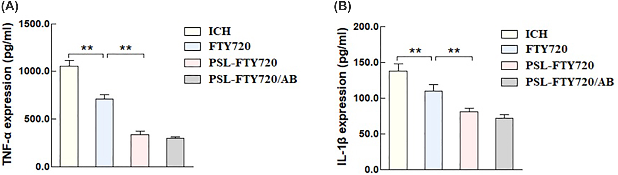 Figure 8:
TNF-α (A), and IL-1β (B) in perihematomal tissues were quantified by ELISA.