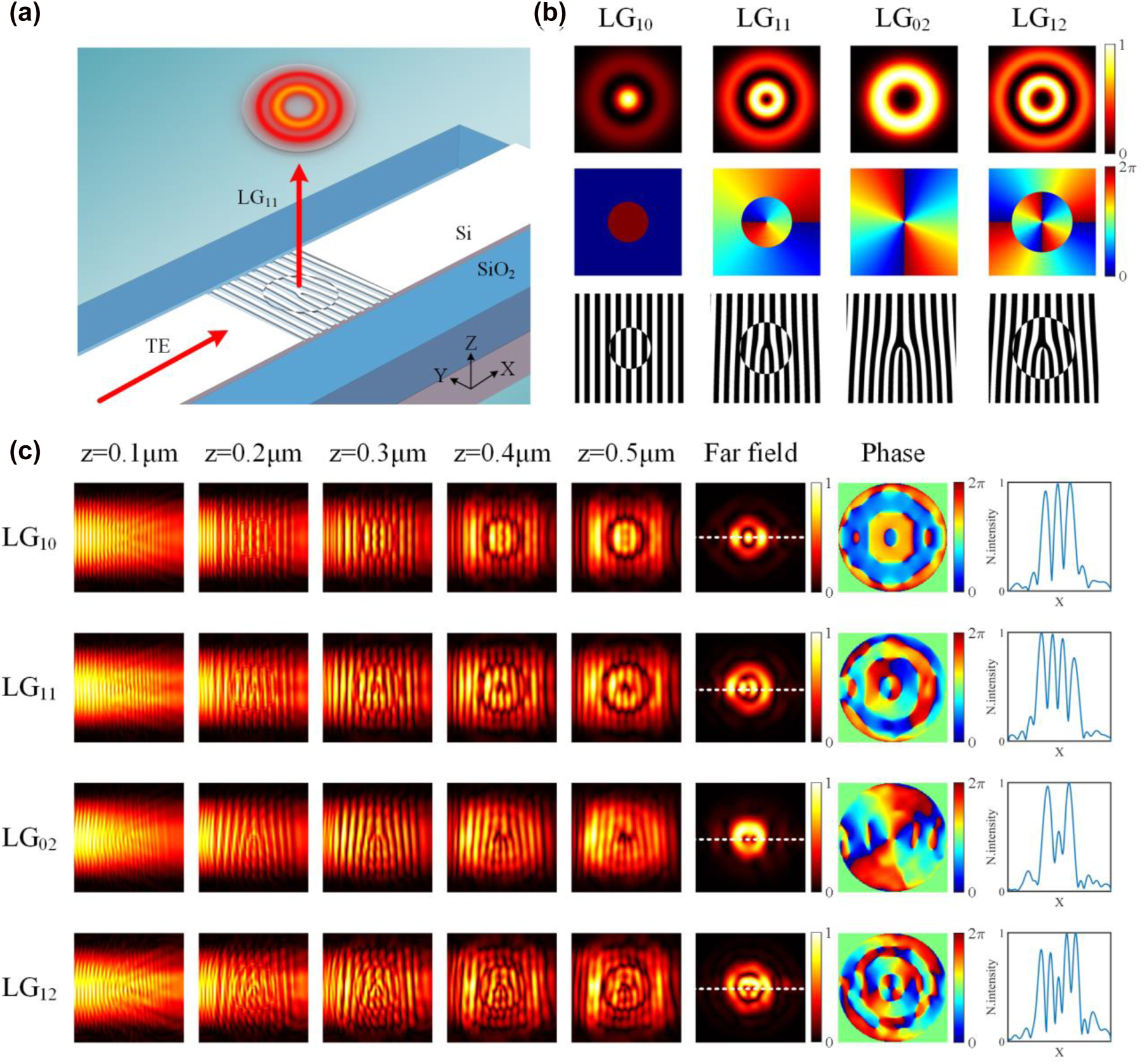 Figure 2: 
Simulation results for LG beam generation. (a) Schematic of the chip-scale broadband LG beams generator based on the holographic subwavelength grating. (b) The intensity and phase distributions of LG beams with different orders as well as the corresponding holograms. (c) Simulated electric field distributions along the waveguide at different height of the grating region, including the amplitude profiles, phase profiles, and normalized longitudinal intensity profiles.
