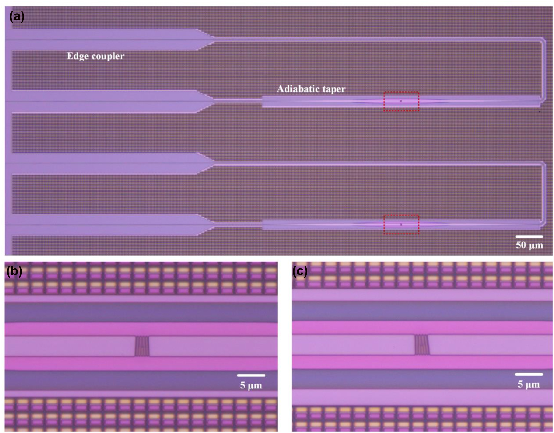 Figure 9: 
Fabricated devices. (a) Measured optical microscope images of the devices. (b, c) Measured optical microscope images of conventional and tilt subwavelength holographic surface fork gratings.
