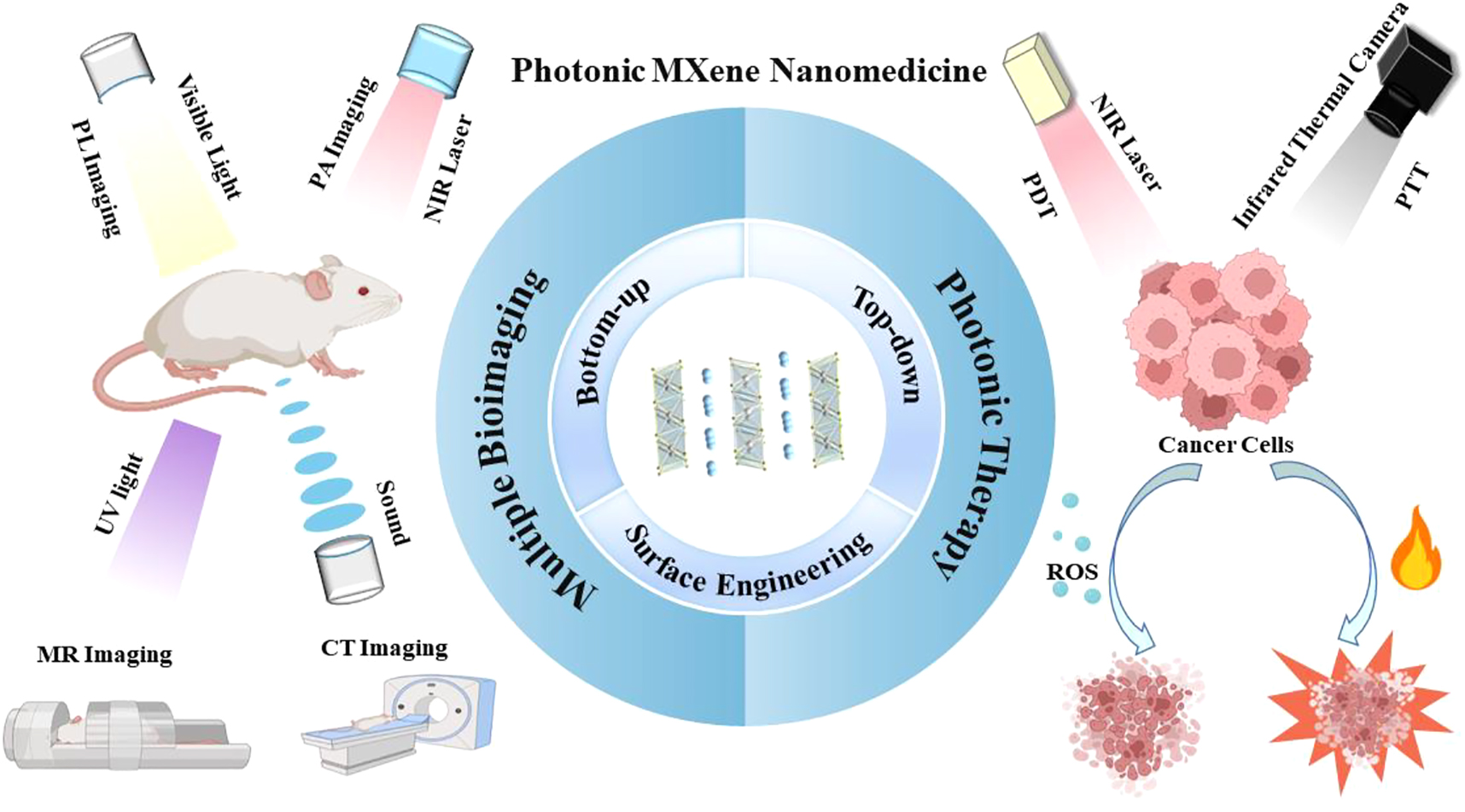 Figure 1:
A review of 2D photonic MXene used in nanomedicine. Biological applications based on 2D photonic MXene, including bioimaging and therapy.
