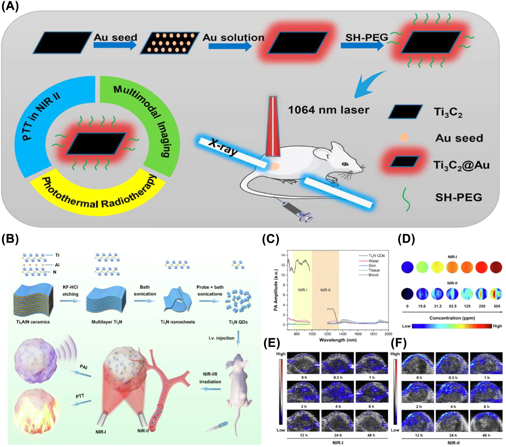 Figure 5: 
PA imaging of MXene. (A) Schematic diagram of Ti3C2@Au synthesis and PA/CT dual-modality imaging-guided treatment [47]. Copyright 2019, American Chemical Society. (B) Schematic diagram of Ti2N QDs synthesis and the role of PTT guided by PA imaging in NIR-I/II biological windows. (C) PA signals of Ti2N QDs in NIR-I/II regions by taking different samples (water, skin, tissue, and blood of mice) as the control group. (D) In vitro PA images of Ti2N QDs at various concentrations (from 0 to 500 ppm) irradiated by 808 and 1280 nm laser. (E–F) In vitro PA images in tumor tissue after intravenous injection [26]. Copyright 2020, Elsevier.
