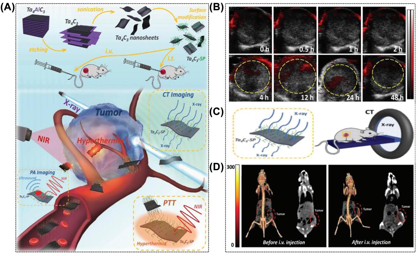 Figure 7: 
Multiple imaging capabilities of MXene. (A) Schematic representation of Ta4C3 nanosheet synthesis and in vivo PA/CT dual-mode imaging-guided photothermal tumor ablation. (B) PA images of tumor tissues after 0, 0.5, 1, 2, 4, 12, 24 and 48 h injections. (C) Schematic illustration of Ta4C3-SP enabling in vivo CT imaging. (D) In vivo 3D reconstructed CT (left) and CT comparison (right) images of mice before and after 24 h intravenous injection [33]. Copyright 2018, Wiley-VCH.
