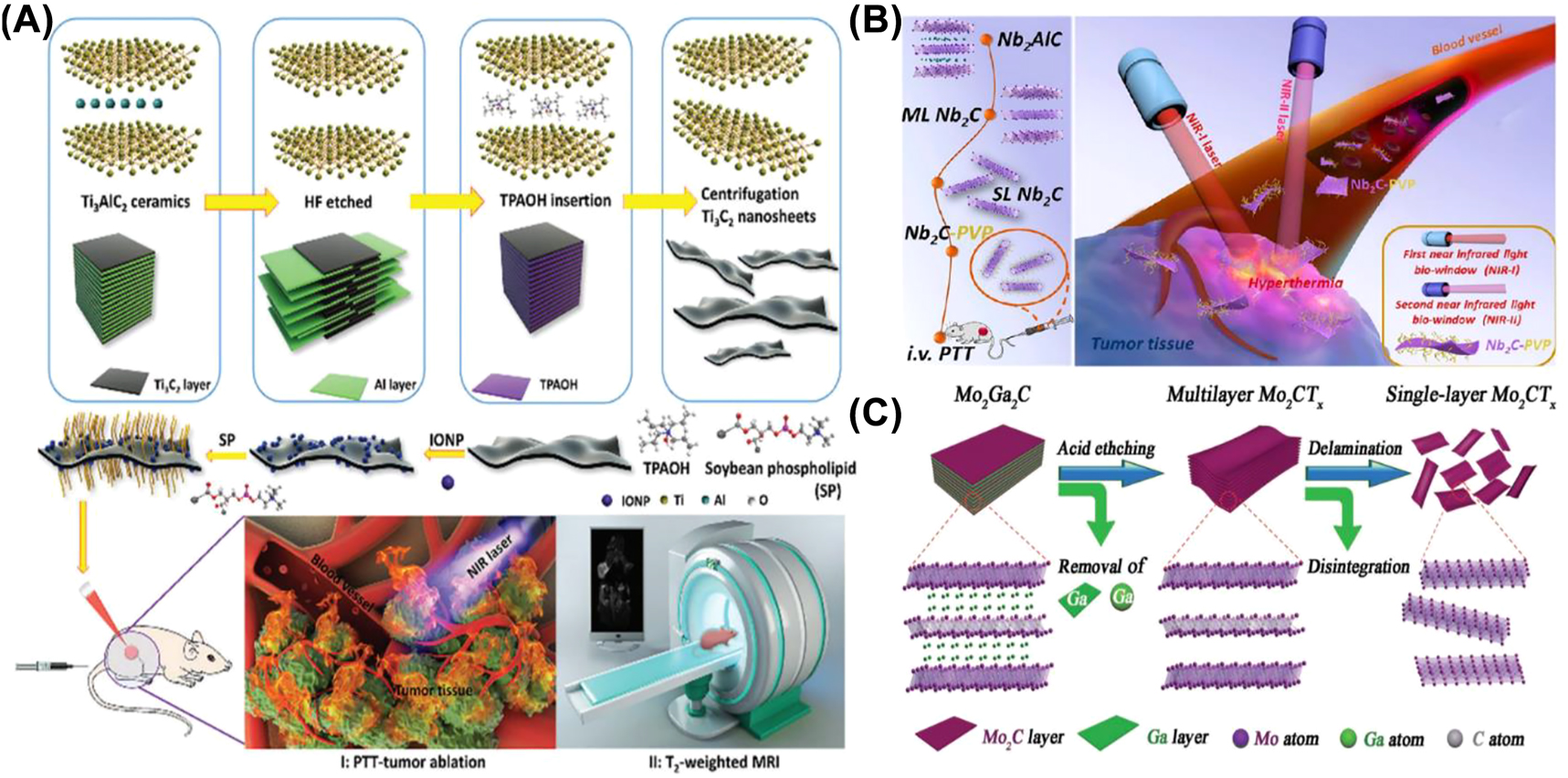 Figure 10: 
MXene for PTT. (A) Schematic representation of the exfoliation and surface modification process of magnetic 2D Ti3C2-IONPs-SPs nanosheet and its PTT under T2-weighted MRI guidance [113]. Copyright 2019 The Royal Society of chemistry. (B) Schematic representation of the synthesis process of Nb2C and in vivo PTT in NIR-I and NIR-II biological windows [37]. Copyright 2017 American Chemical Society. (C) Schematic representation of the preparation of Mo2C MXenes [40]. Copyright 2018 John Wiley and Sons.
