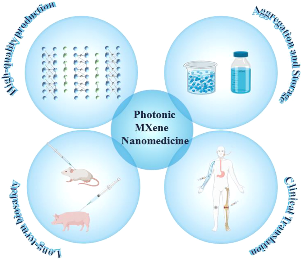Figure 13:
Schematic diagram of the developments and challenges of 2D MXenes for biomedical applications, including mass production, aggregation and storage, long-term biosafety, and clinical translation.